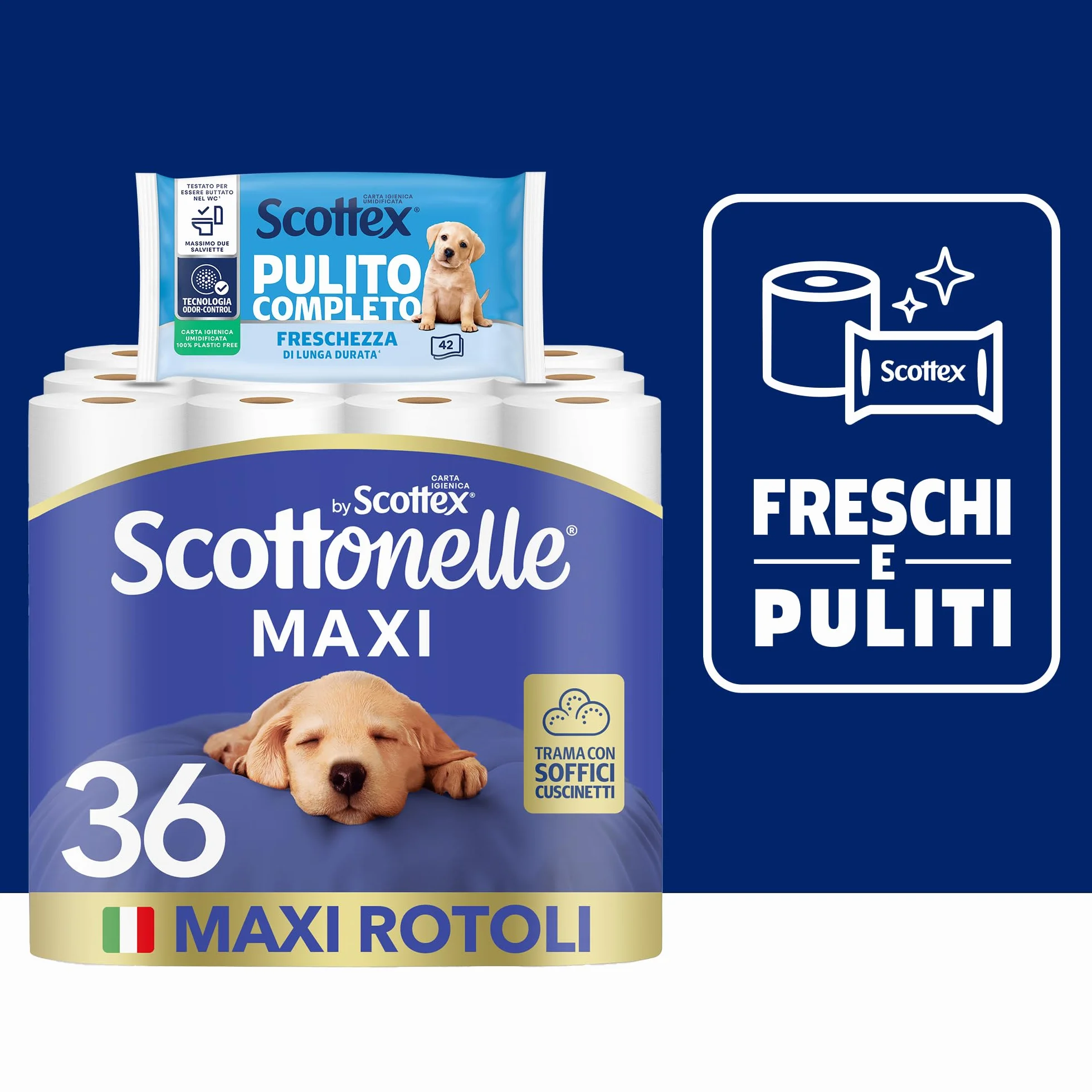 Scottonelle Carta Igienica 36 Rotoli Maxi Morbida Resistente