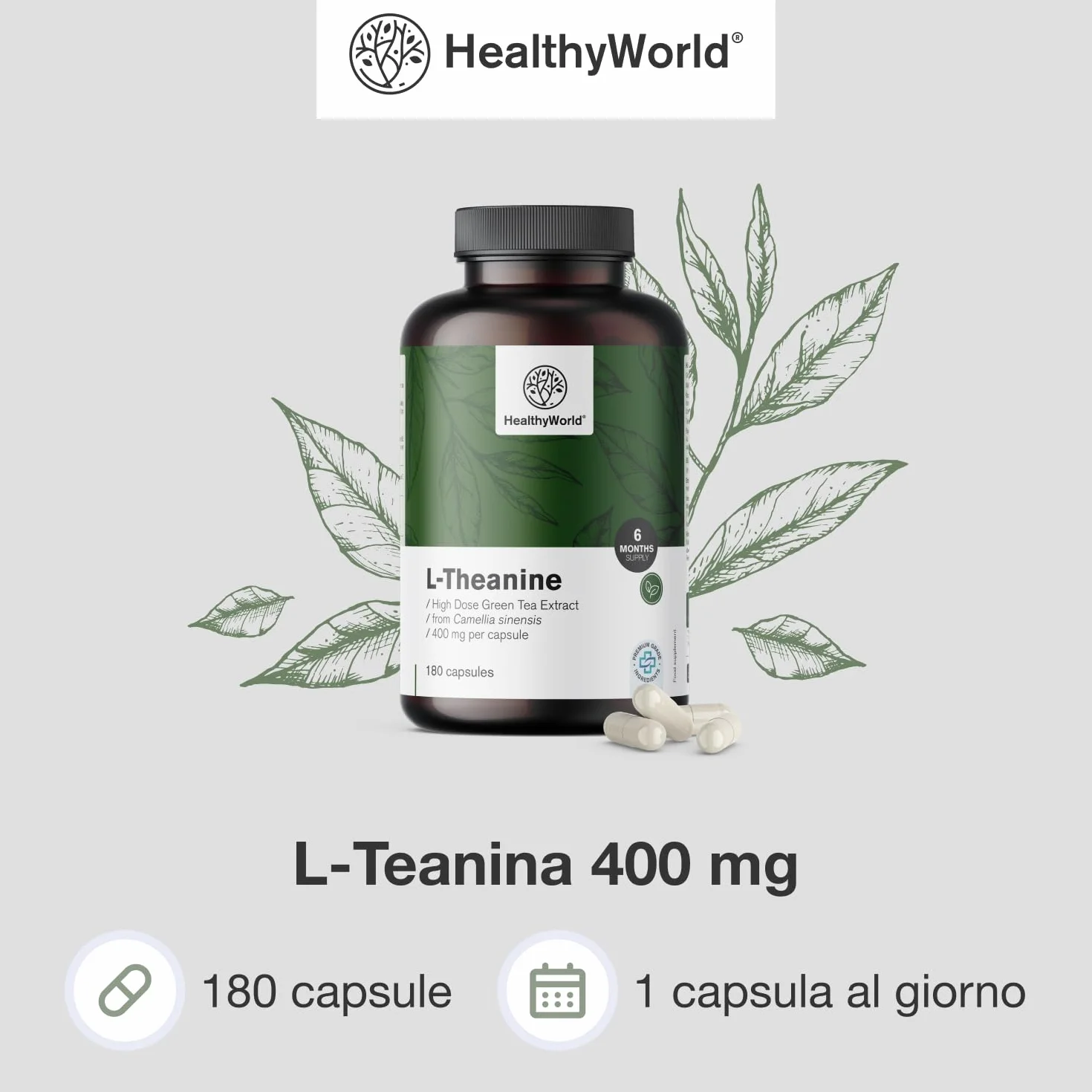 HealthyWorld L-Teanina 400 mg - 180 Capsule - Estratto di tè verde - Alta concentrazione - Aminoacido efficace - Supporto naturale per l'organismo - Vegetariano e non OGM