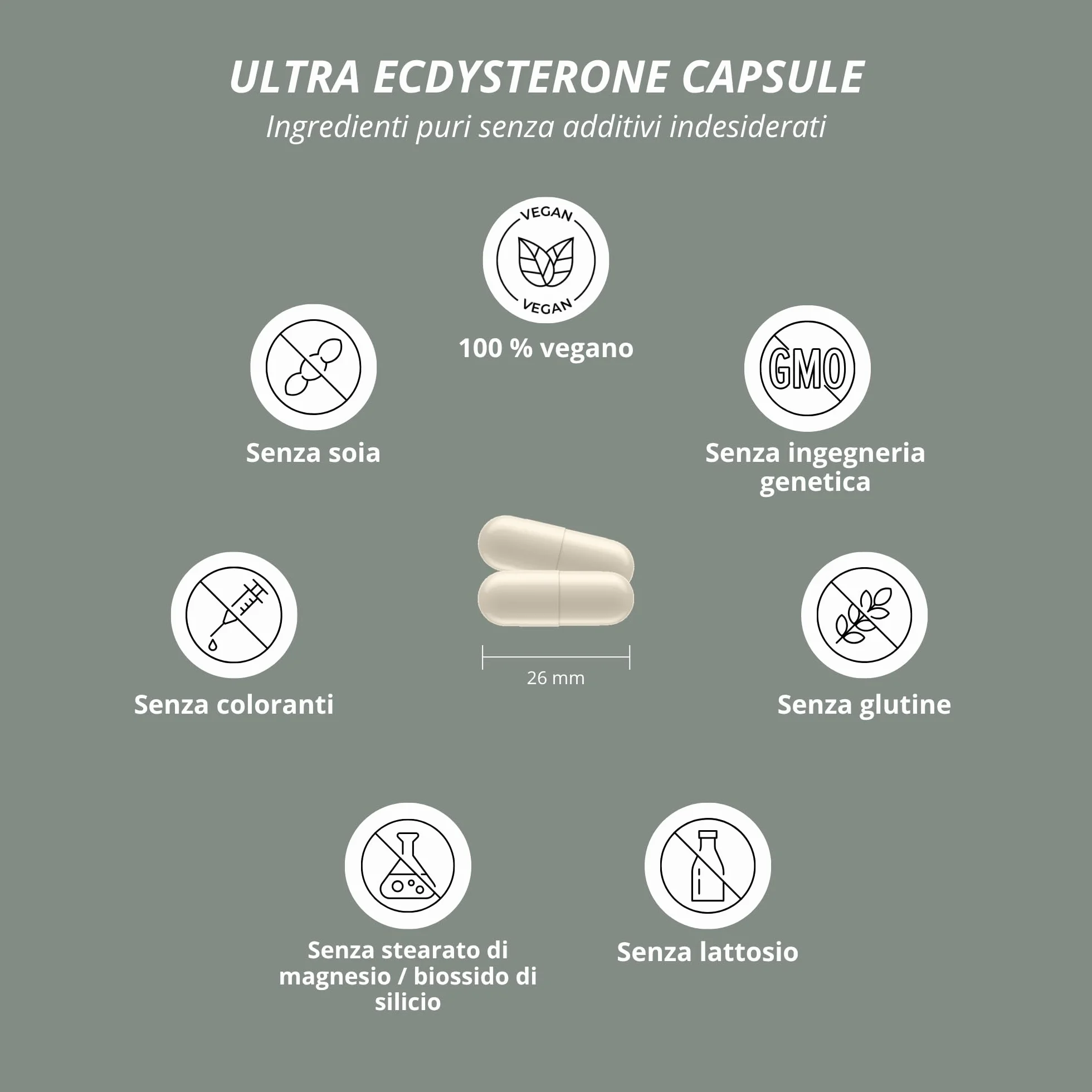 Nutri + Ultra Ecdysterone + Leucina Capsule alto Dosaggio - 790 mg Complesso Principi attivi per Capsula - 540 mg di beta Ecdisterone 90% + 250 mg di L-Leucina in Polvere vegana