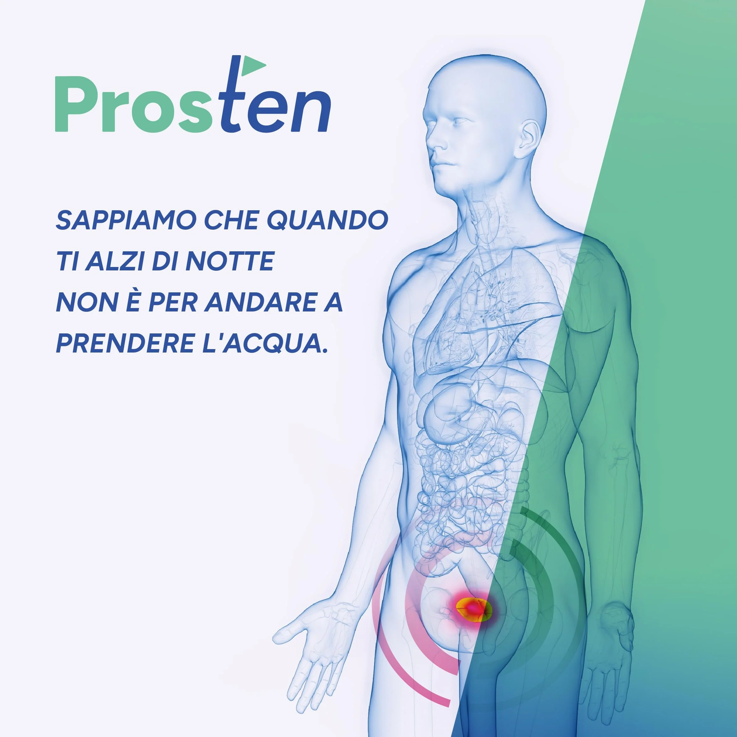 PROSTEN Integratore Prostata Uomo 30 Compresse Serenoa Repens Zinco Vitamina E