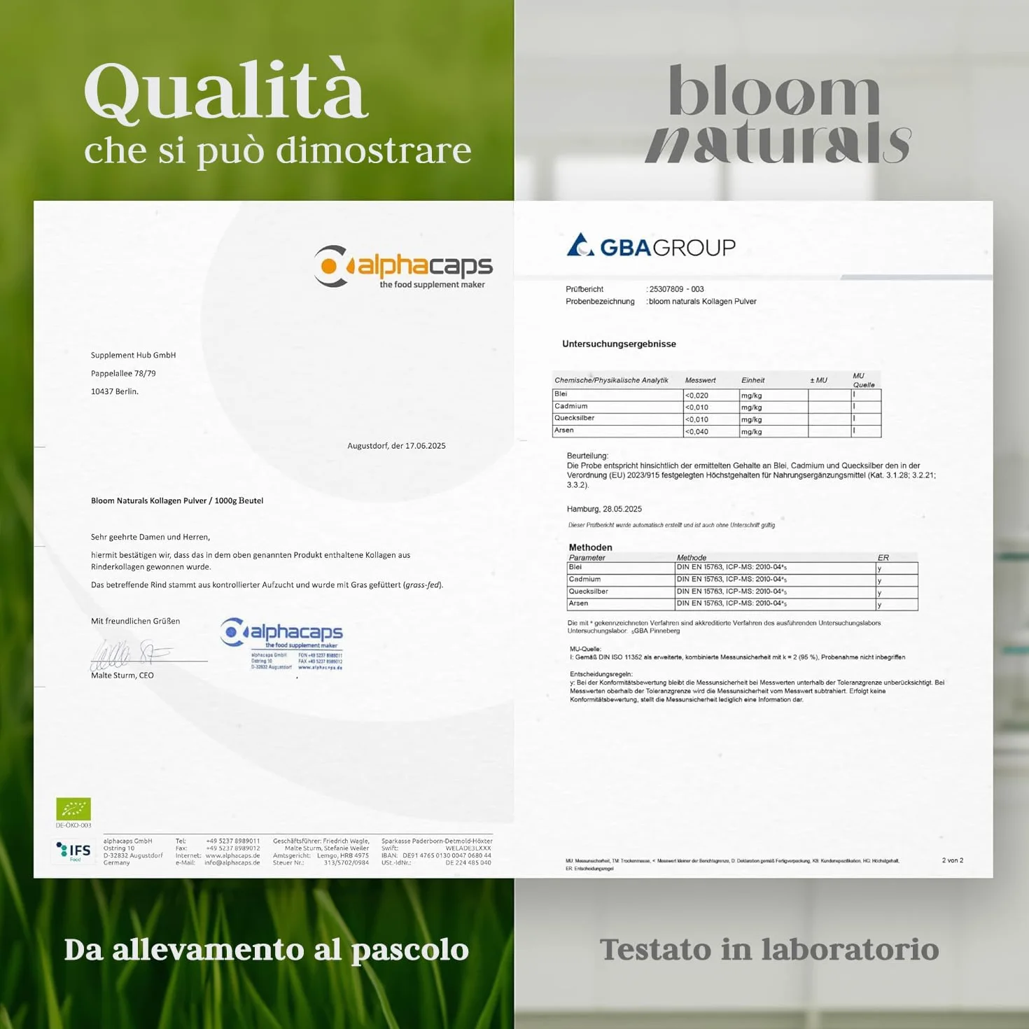 Collagene in Polvere 500g Idrolizzato con Vitamina C Gusto Neutro 33 Porzioni Bovino Peptidi Prodotto in Germania