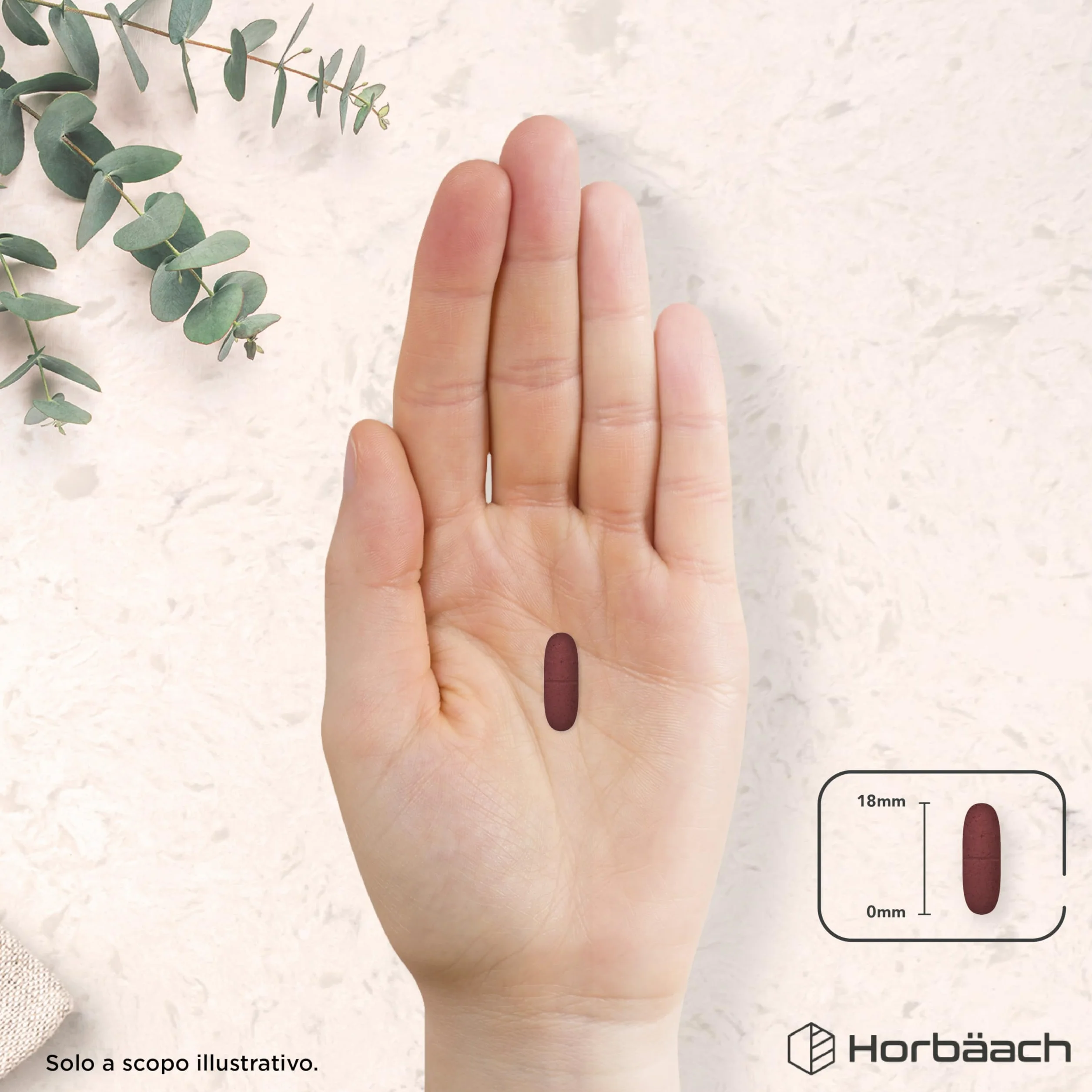 Horbaach Barbabietola Rossa Integratore 36.000mg Stimolatore Ossido Nitrico 120 Compresse Vegane