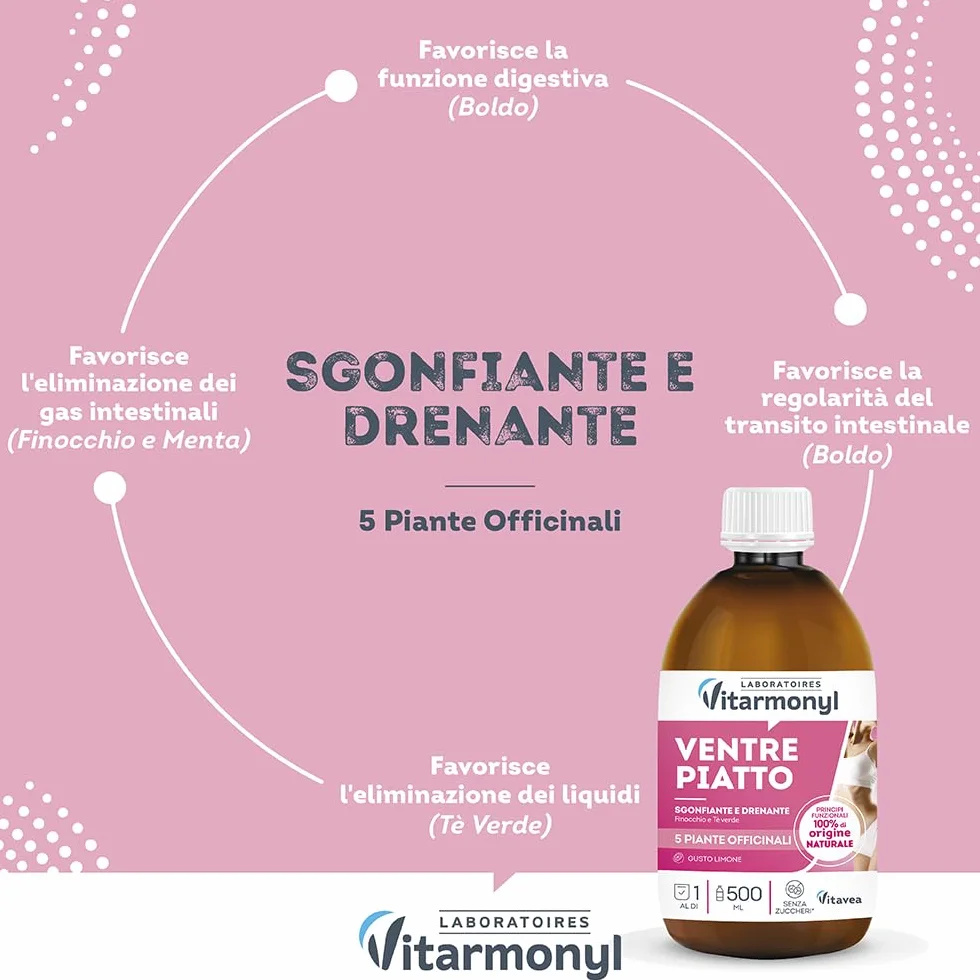 Vitarmonyl Ventre Piatto Drenante Detox 500 ML Thè Verde Finocchio Gusto Limone