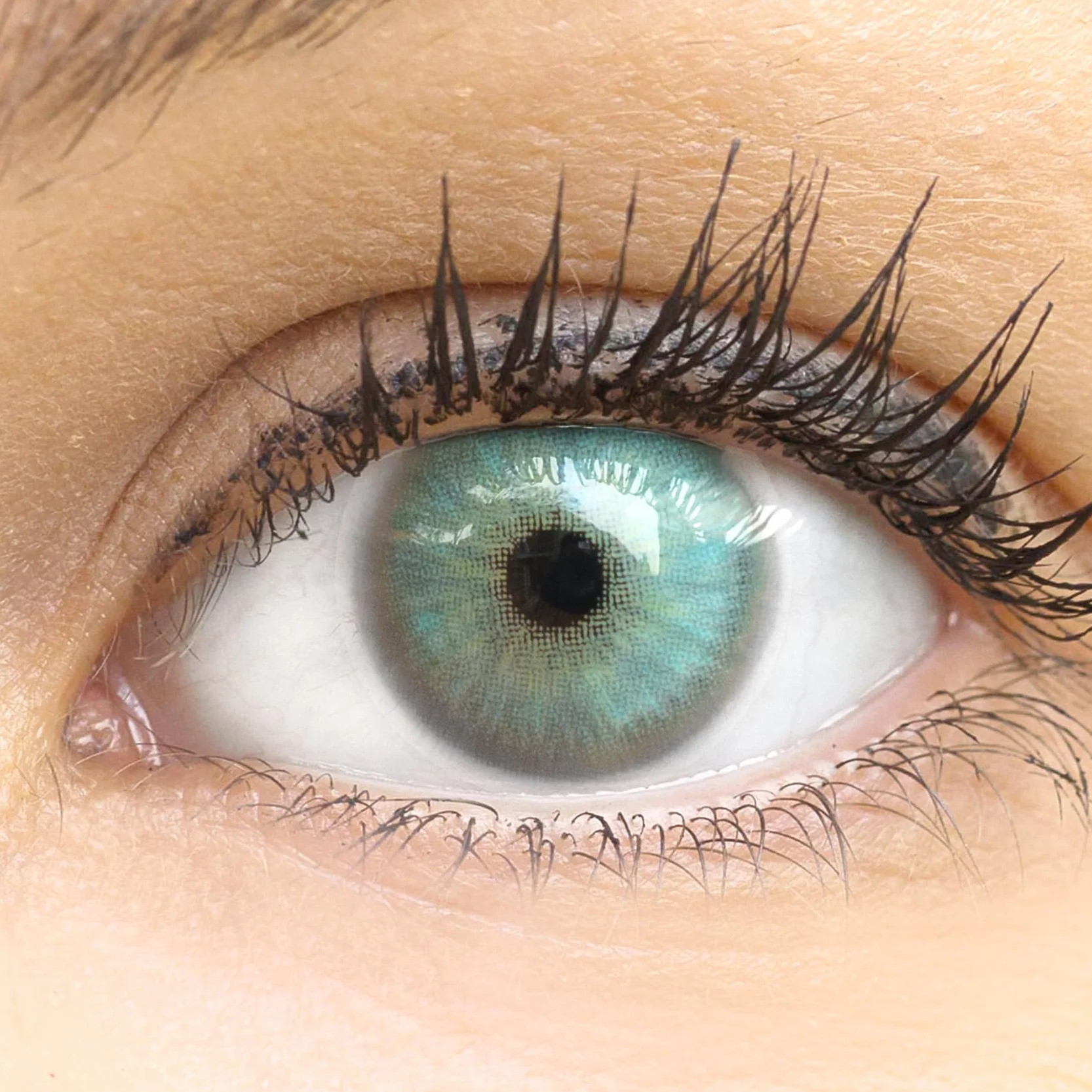GLAMLENS Lenti a Contatto Colorate Grigio Capri Gray - 2 Pezzi, DIA 14,20, Senza Correzione 0.00 Diottrie