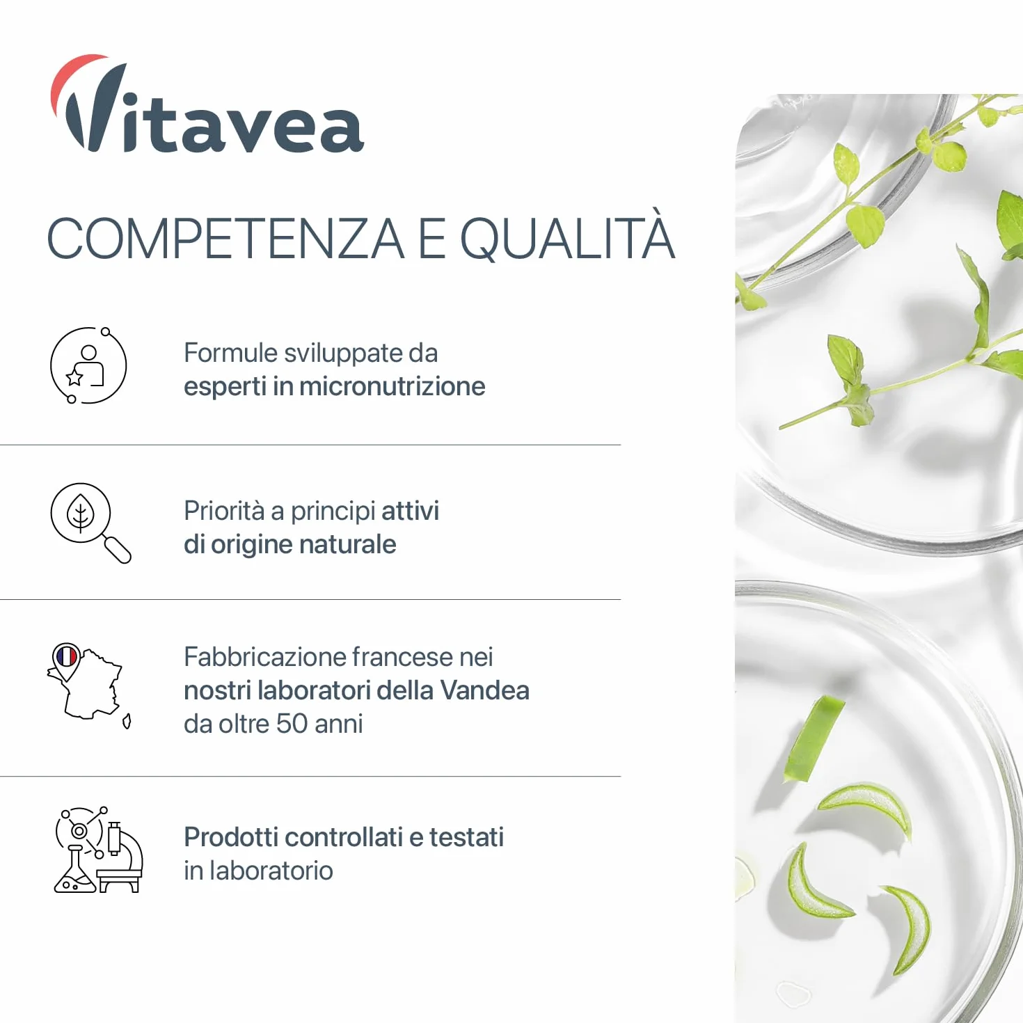 Aglio Nero Fermentato 9000 mg (Estratto 30:1) + Vitamina B1 – Supporto Salute Cardiovascolare e Funzione Cardiaca – Antiossidante Naturale – Senza Odore – 90 Capsule Vegane