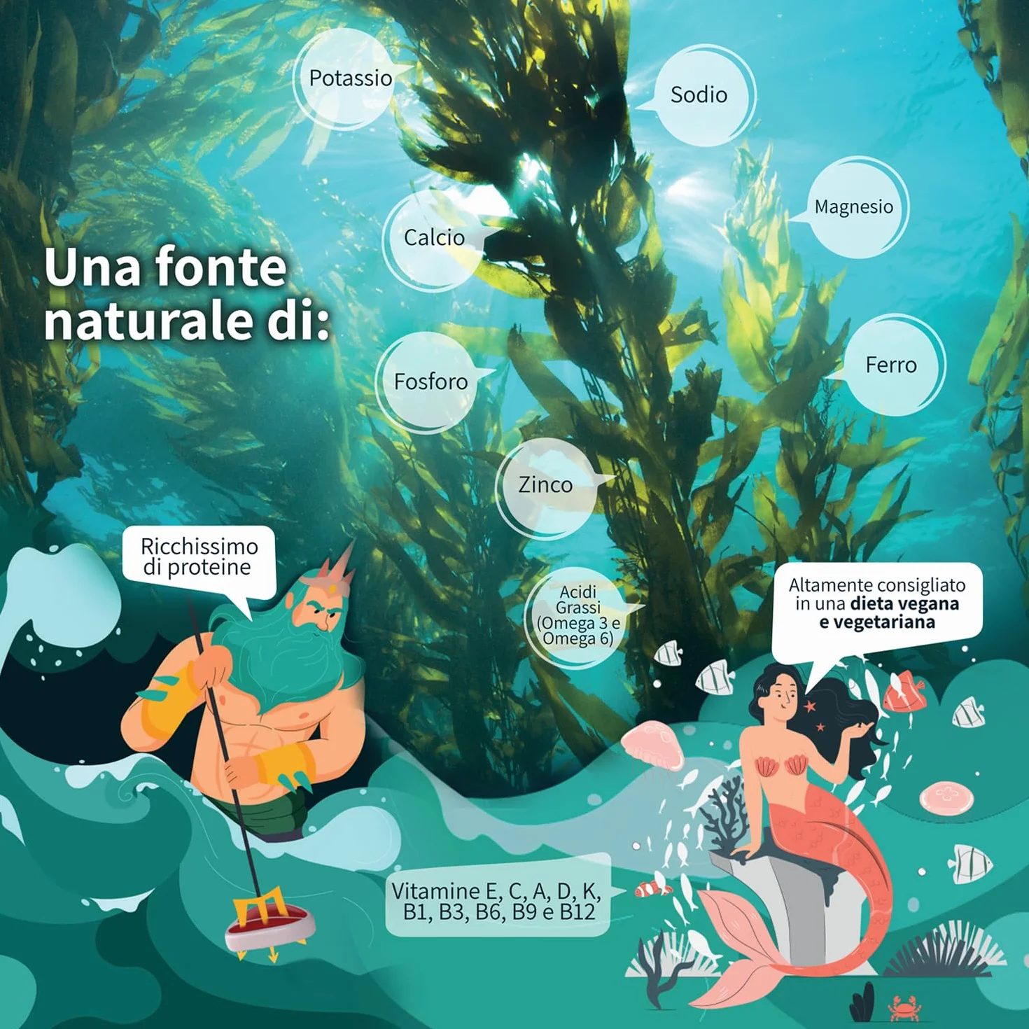 Detox Organica Spirulina in polvere BIO 250g Ricca di Ficocianina Ferro Vitamine Minerali Proteine Alga Spirulina Pura