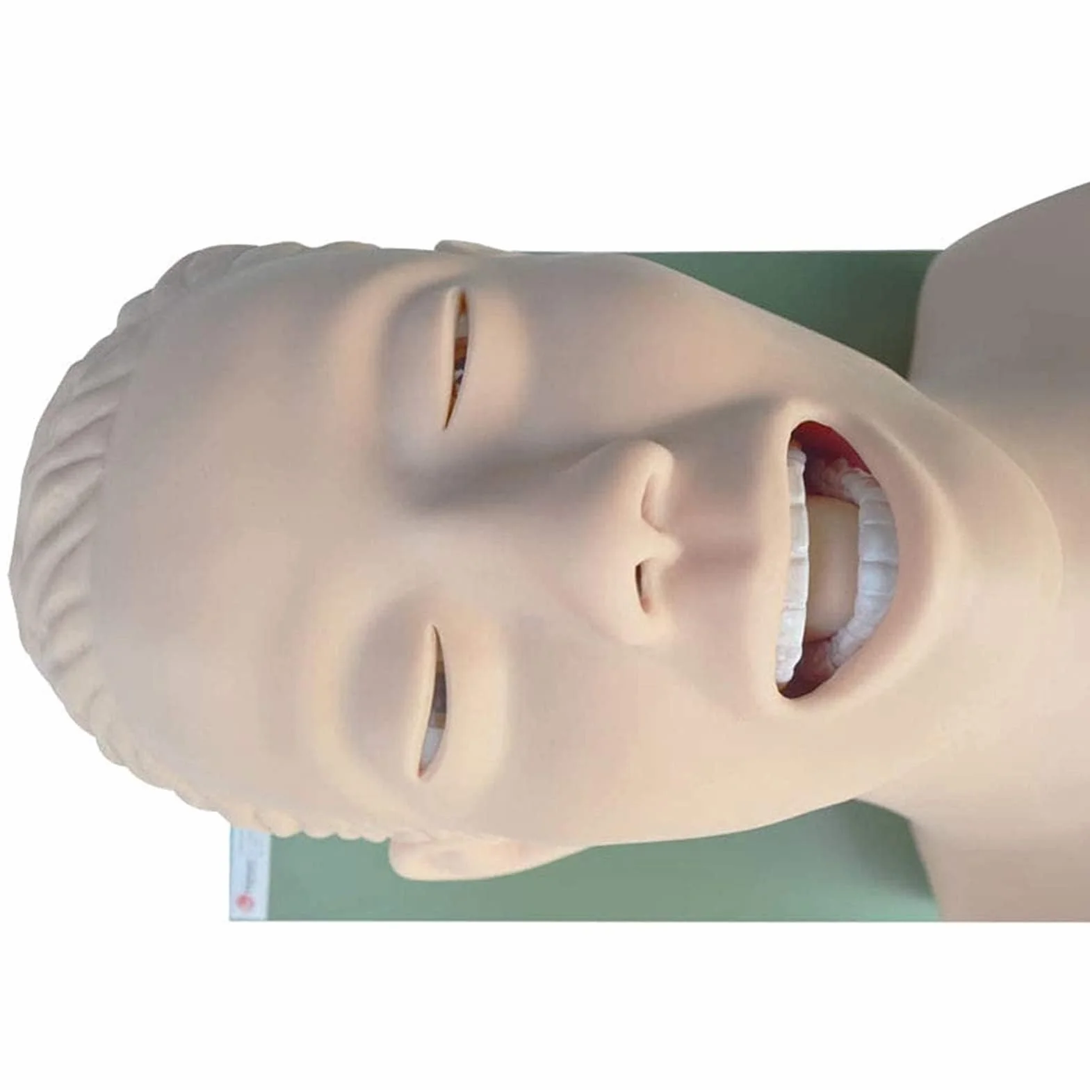 Manichino di intubazione adulto in PVC per insegnamento, modello vie aeree 220V