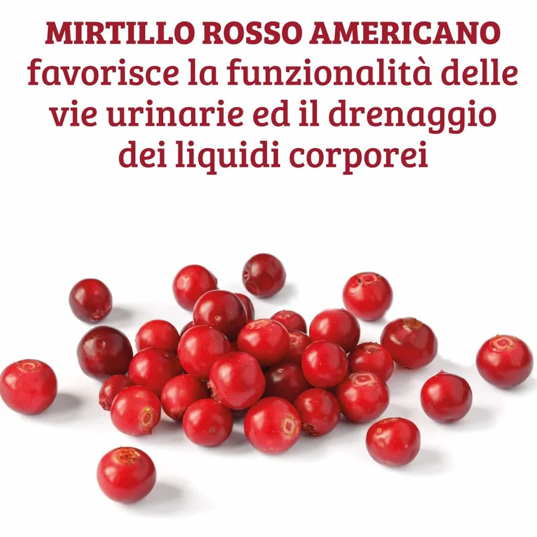 Colours of Life Cyst Cranberry Integratore di Mirtillo Rosso 60 Compresse Senza Glutine Vegano