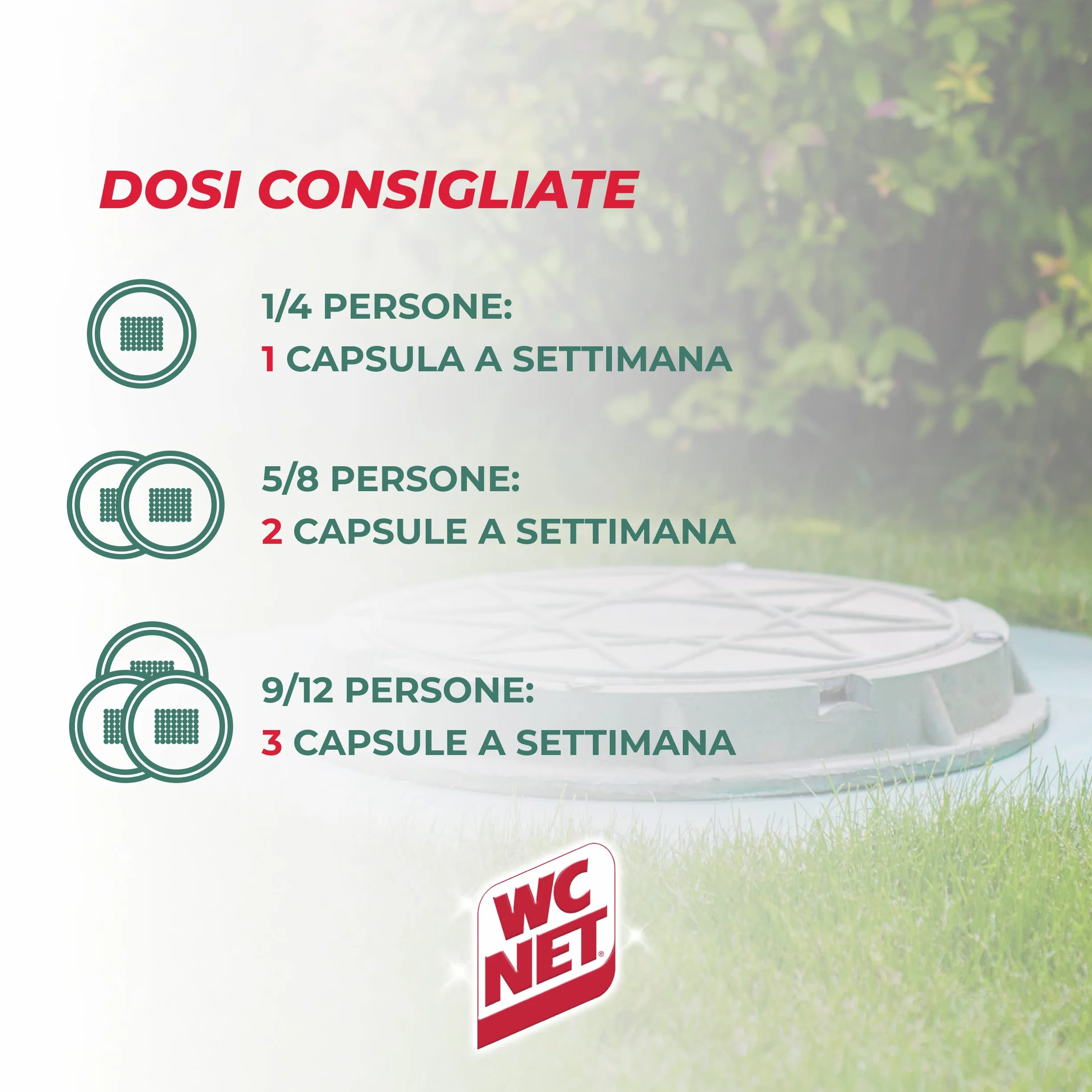 Wc Net Professional, Fosse Biologiche, Capsule Idrosolubili per WC, Scioglie gli Ingorghi, 12 Caps x 3 Confezioni