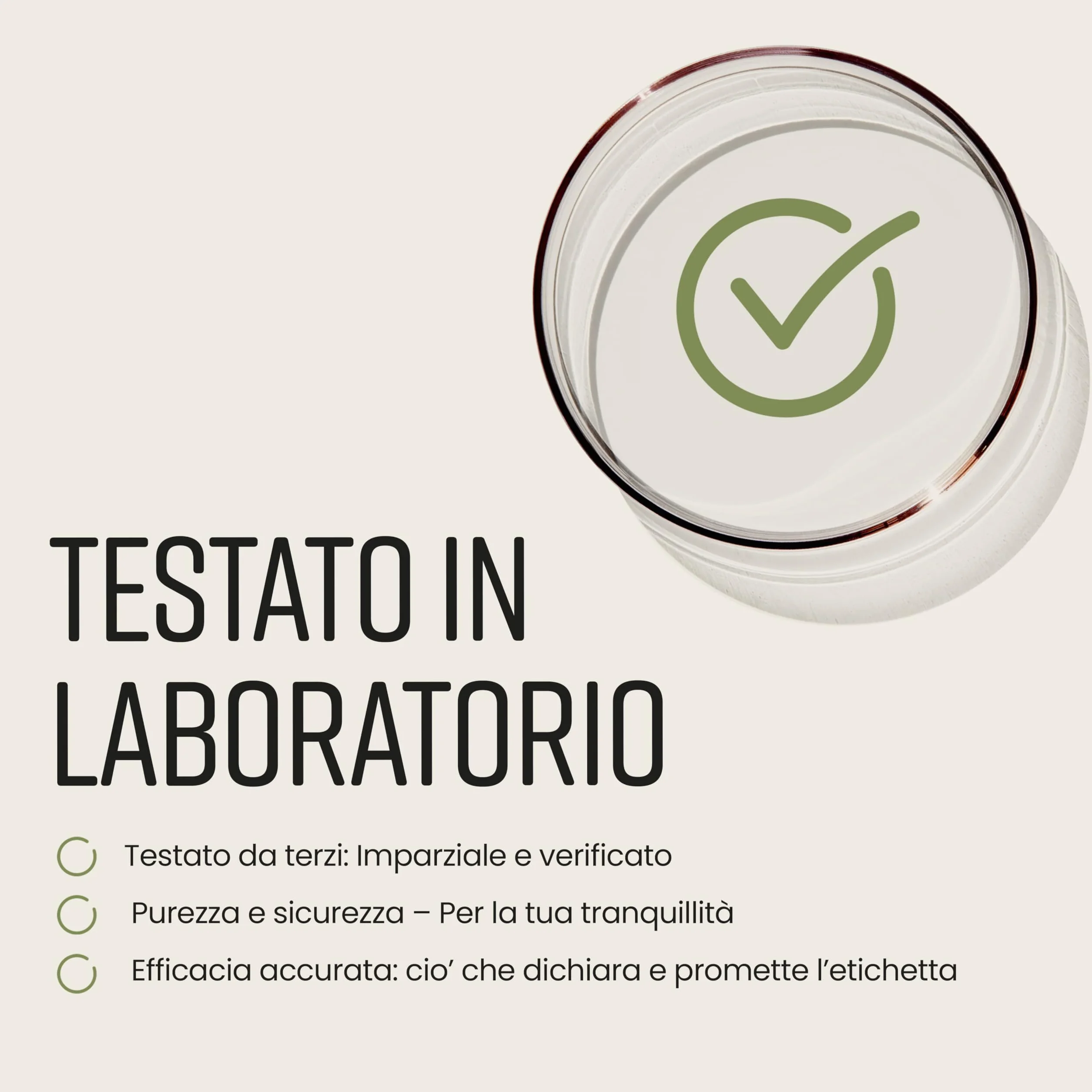 Capsule di Moringa Pura 10.000 mg Alto Dosaggio 4 Mesi Senza Additivi Superalimento Vegano in Polvere Estratto Puro di Foglia di Moringa VitaBright