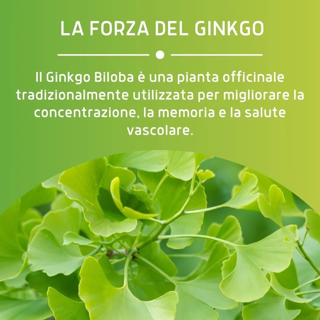 ERBEX - Integratore Ginkgo Biloba Vegano Forte per Prevenire Invecchiamento, Azione Antiossidante, Aiuto Naturale per Memoria e Funzioni Cognitive Ginkgo Biloba in Capsule