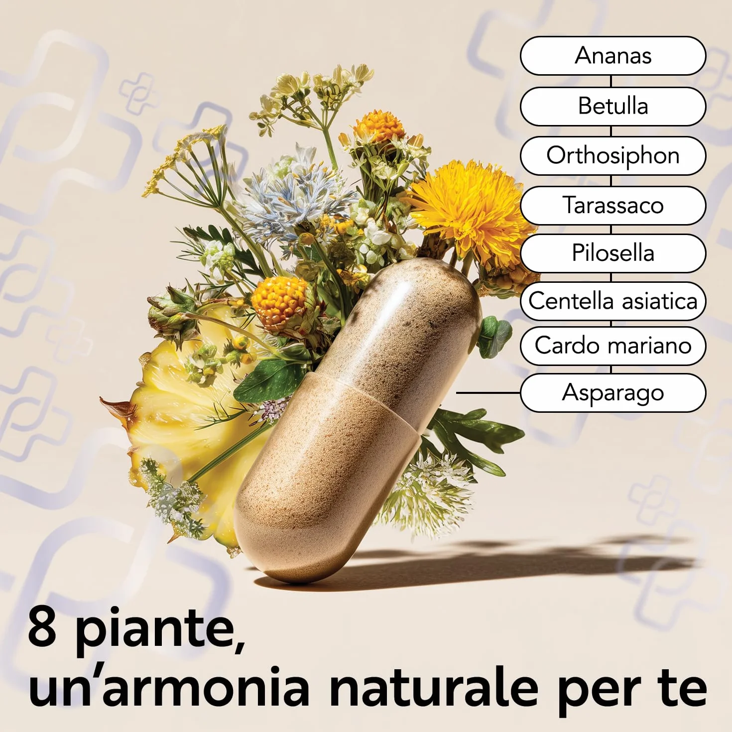 PiùLife Drenante Diuretico Naturale 240 Capsule, 8 Estratti Vegetali, Ananas Bromelina, Centella Asiatica, Betulla, Orthosiphon, Tarassaco, Pilosella, Cardo Mariano, Asparago Detox