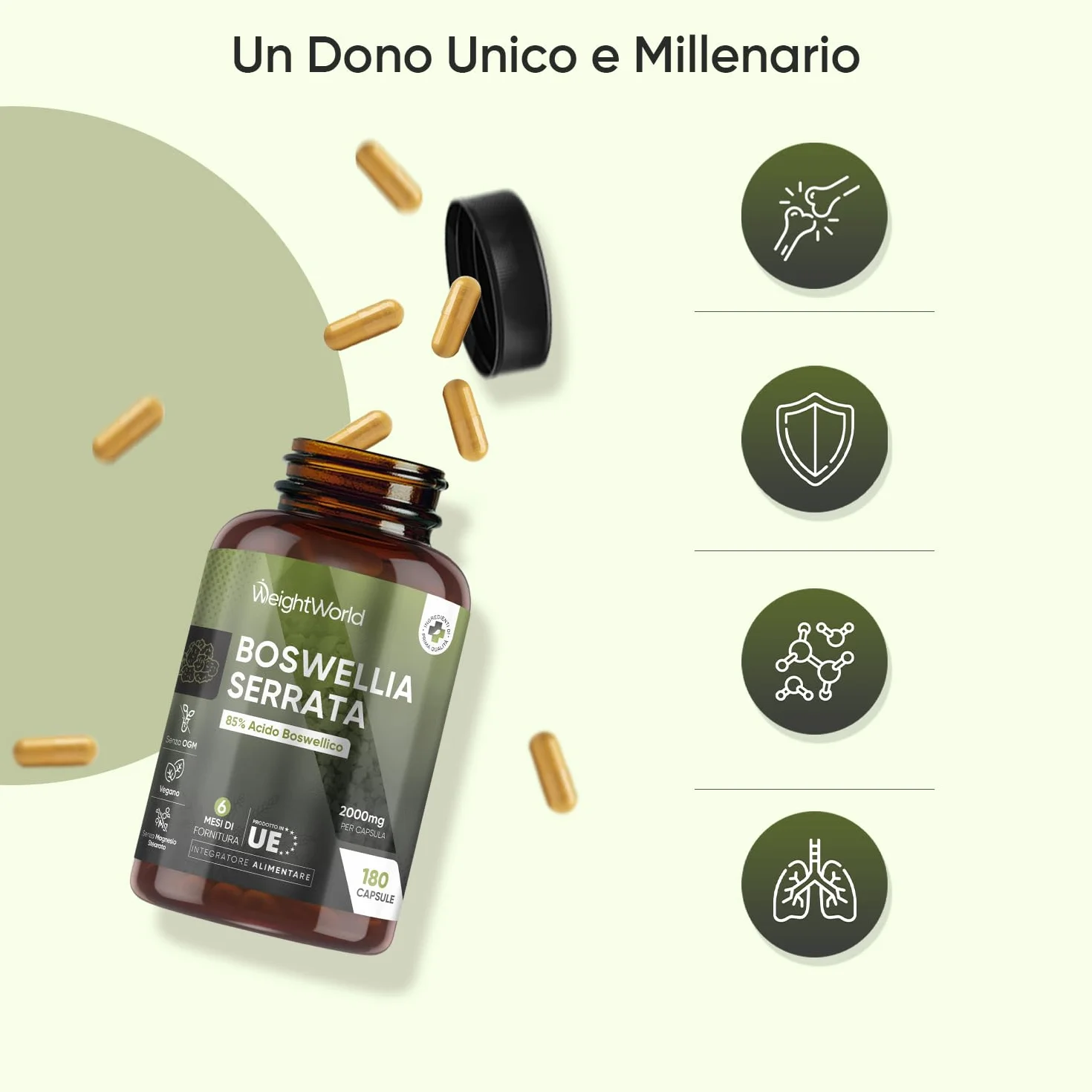 Boswellia Serrata WeightWorld, 180 Capsule Vegane (6 Mesi) da 2000mg, 85% Acidi Boswellici, Estratto 5:1, 1 Sola Capsula al Giorno, Boswellia Integratore, Senza Magnesio Stearato, Prodotto in Europa