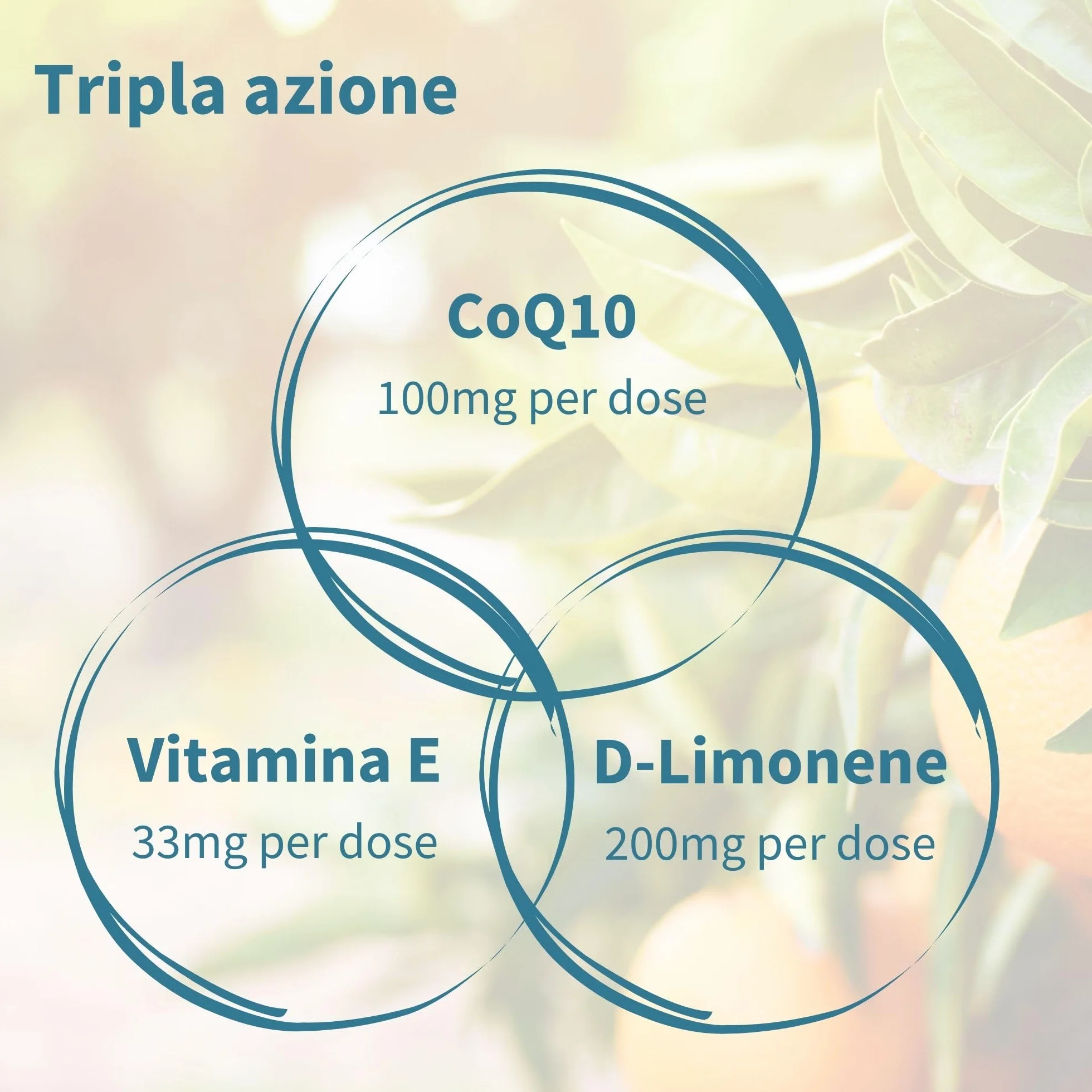 Igennus Integratore CoQ10, Coenzima Q10 100mg, 120 Softgels (4 mesi), Biodisponibilità 5x Superiore, Formula Ultra-Solubile CoQsol-CF, Ubichinone Potenziato con Vitamina E e D-Limonene, 1 al giorno