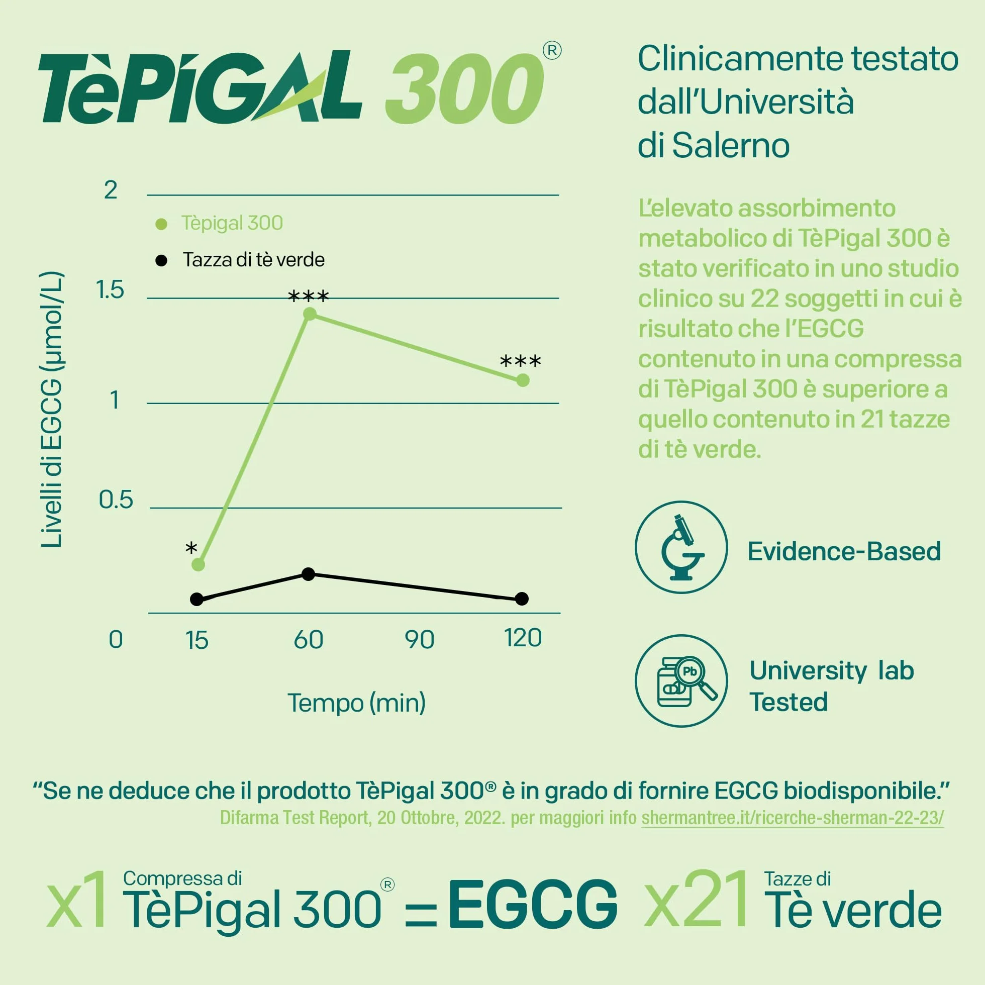 EGCG da tè verde ≥95% - Stimolante metabolico, blocca-fame, energizzante