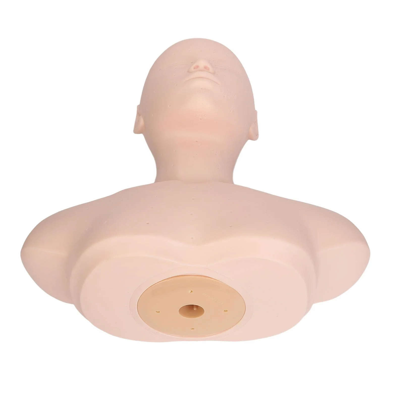 Testa di Manichino per Estetica con Spalle, Modello in PVC per Simulazione Massaggio Agopuntura