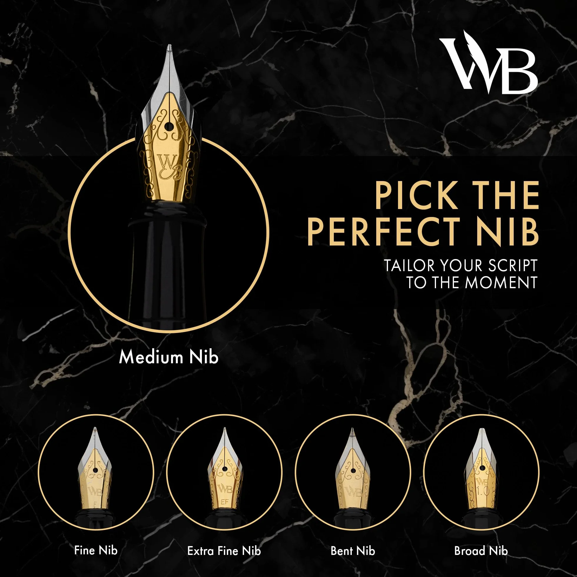 Erudite Fine Nib Black Gold Trim Pen