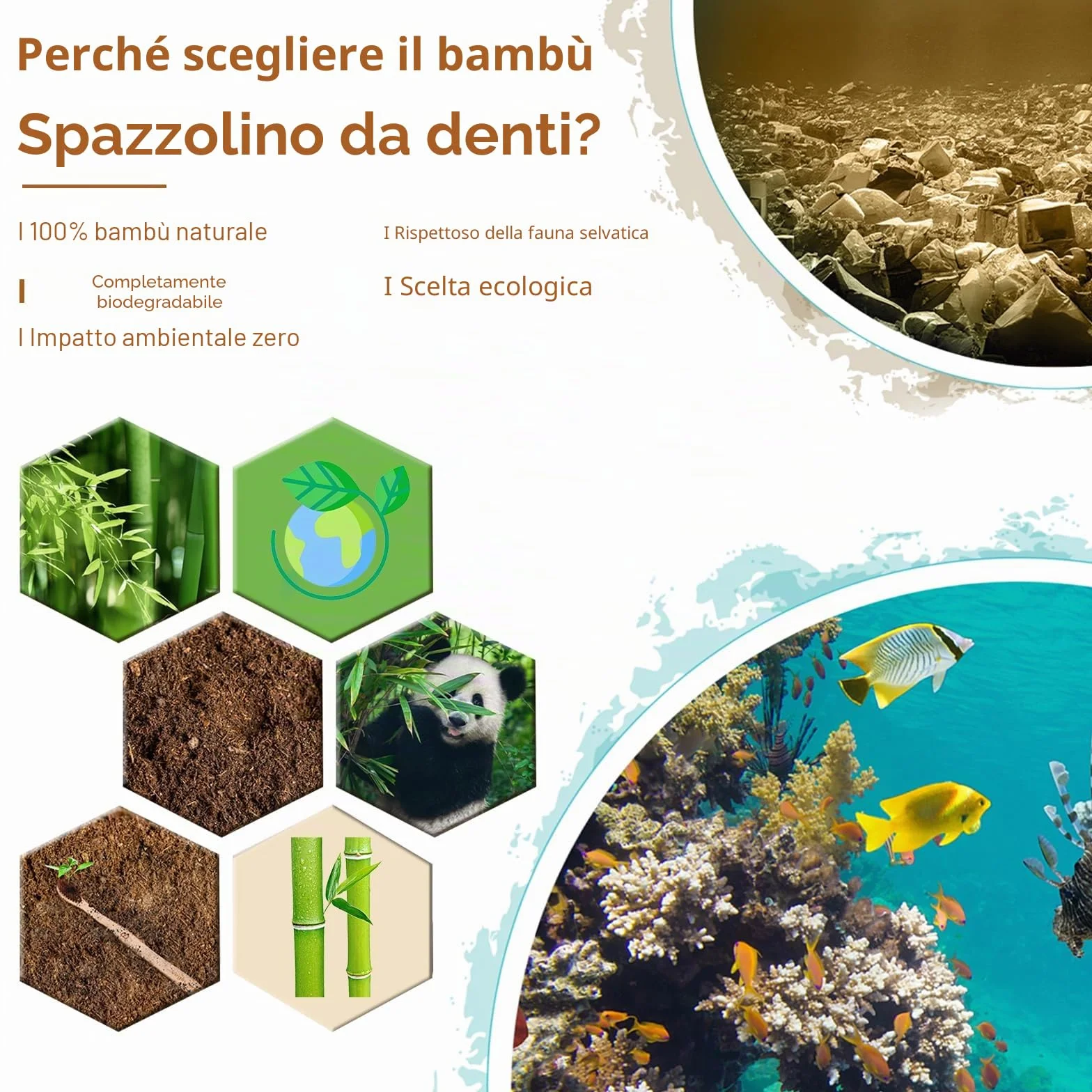 Spazzolino Bamboo Biodegradabile 10 Colori Setole Carbone Morbide Senza BPA