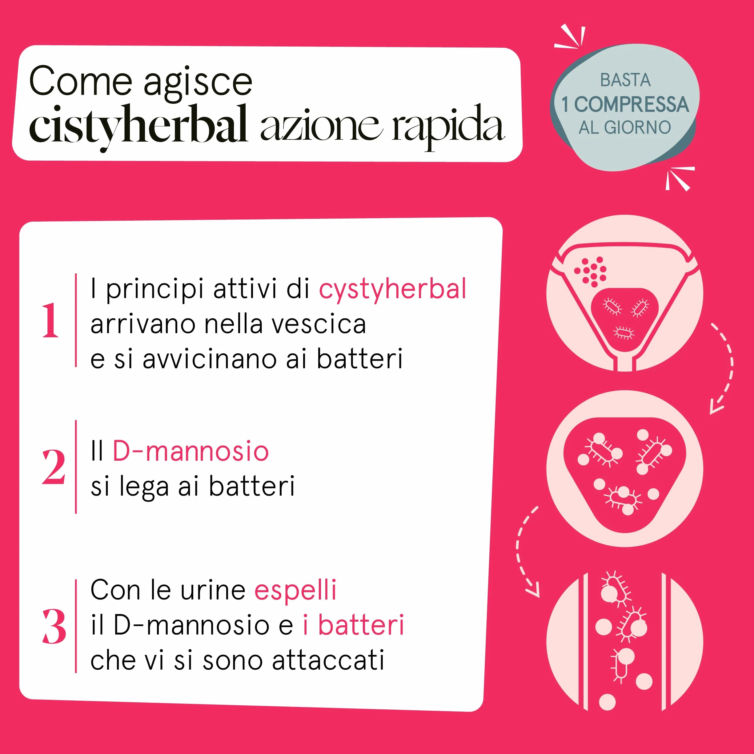 Integratore per Cistite Acuta, Candida e Infezioni delle Vie Urinarie con D mannosio Puro e Mirtillo Rosso