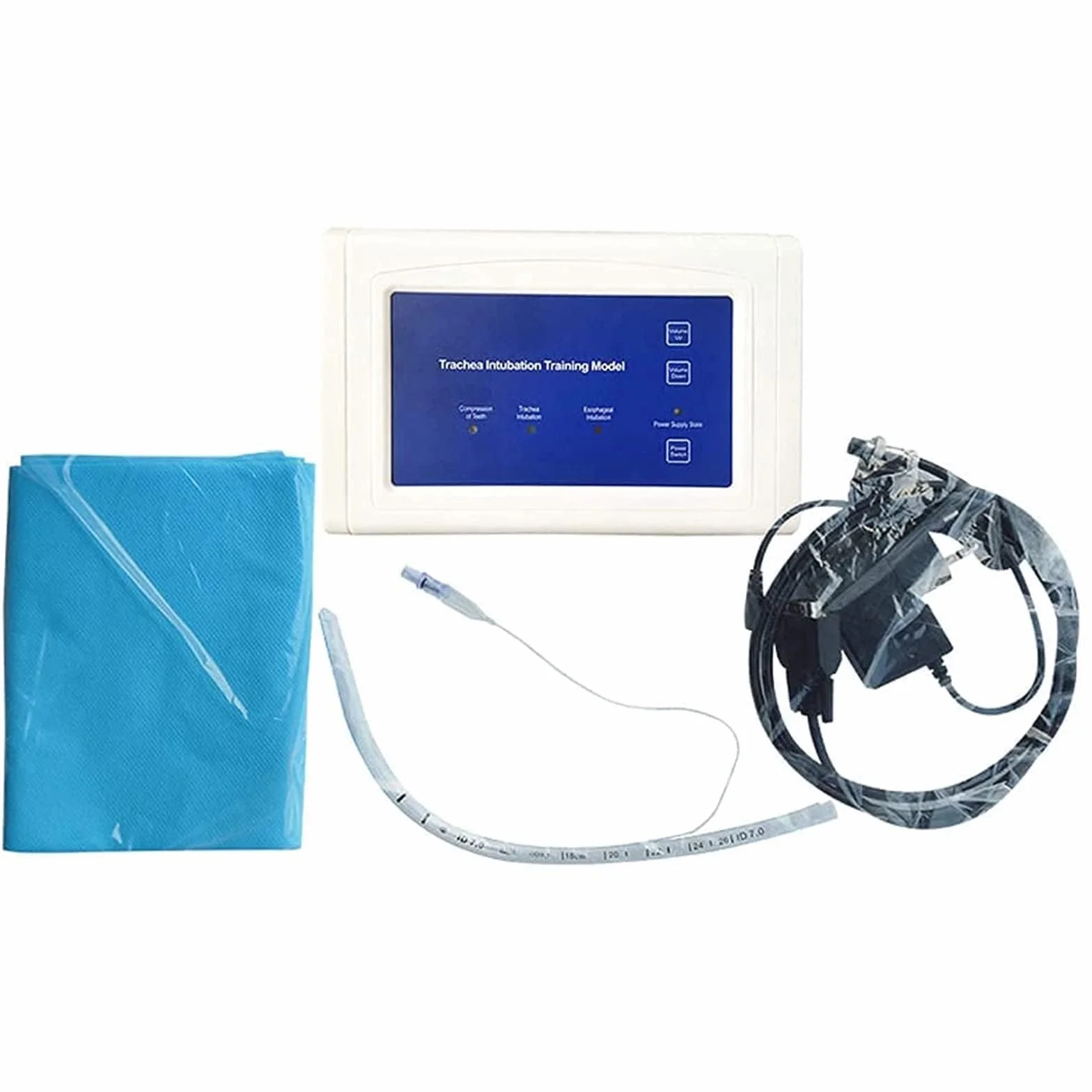 Manichino di intubazione adulto in PVC per insegnamento, modello vie aeree 220V
