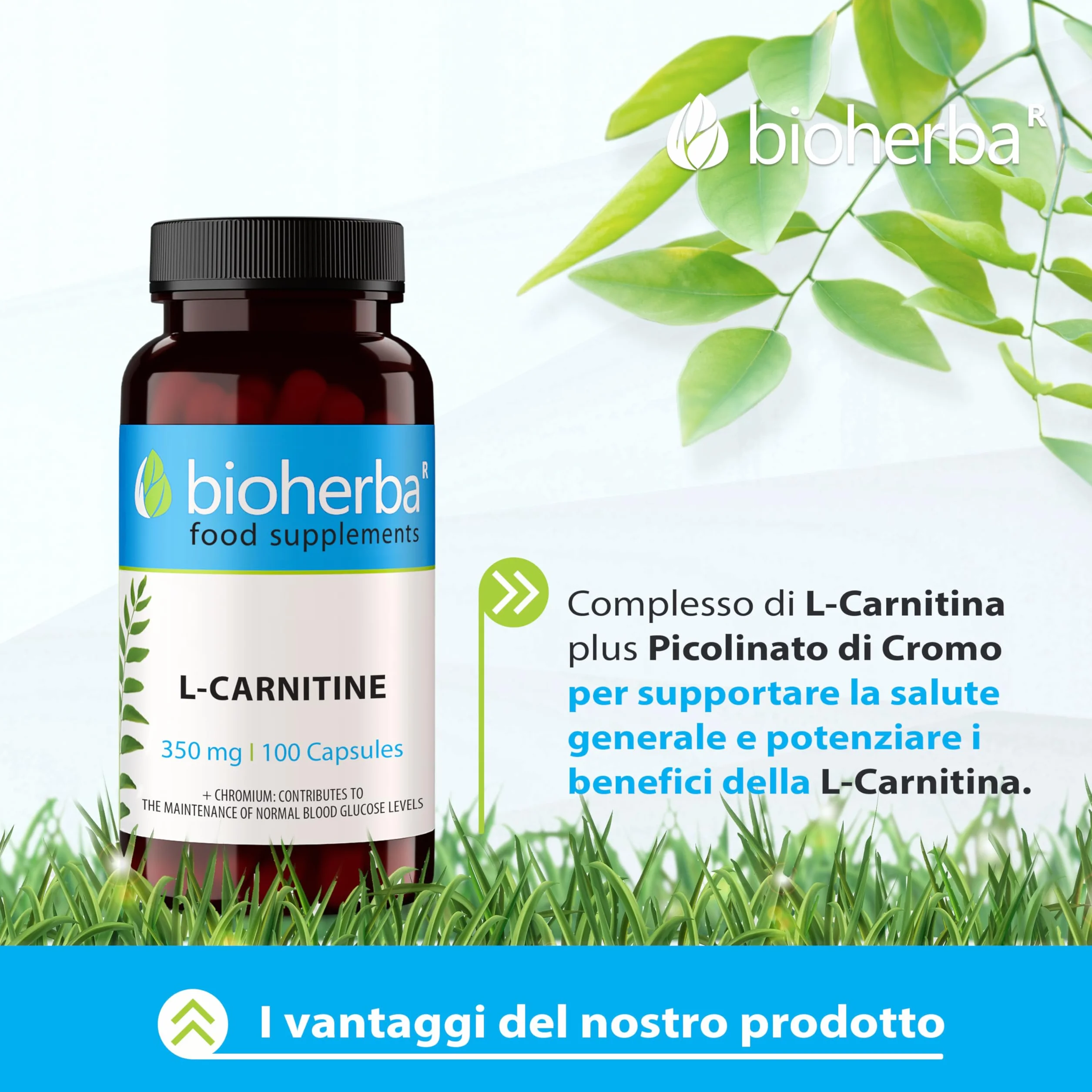 L-Carnitina 350 mg Capsule - 100 Capsule di BIOHERBA - Efficaci e ideali per una silhouette snella