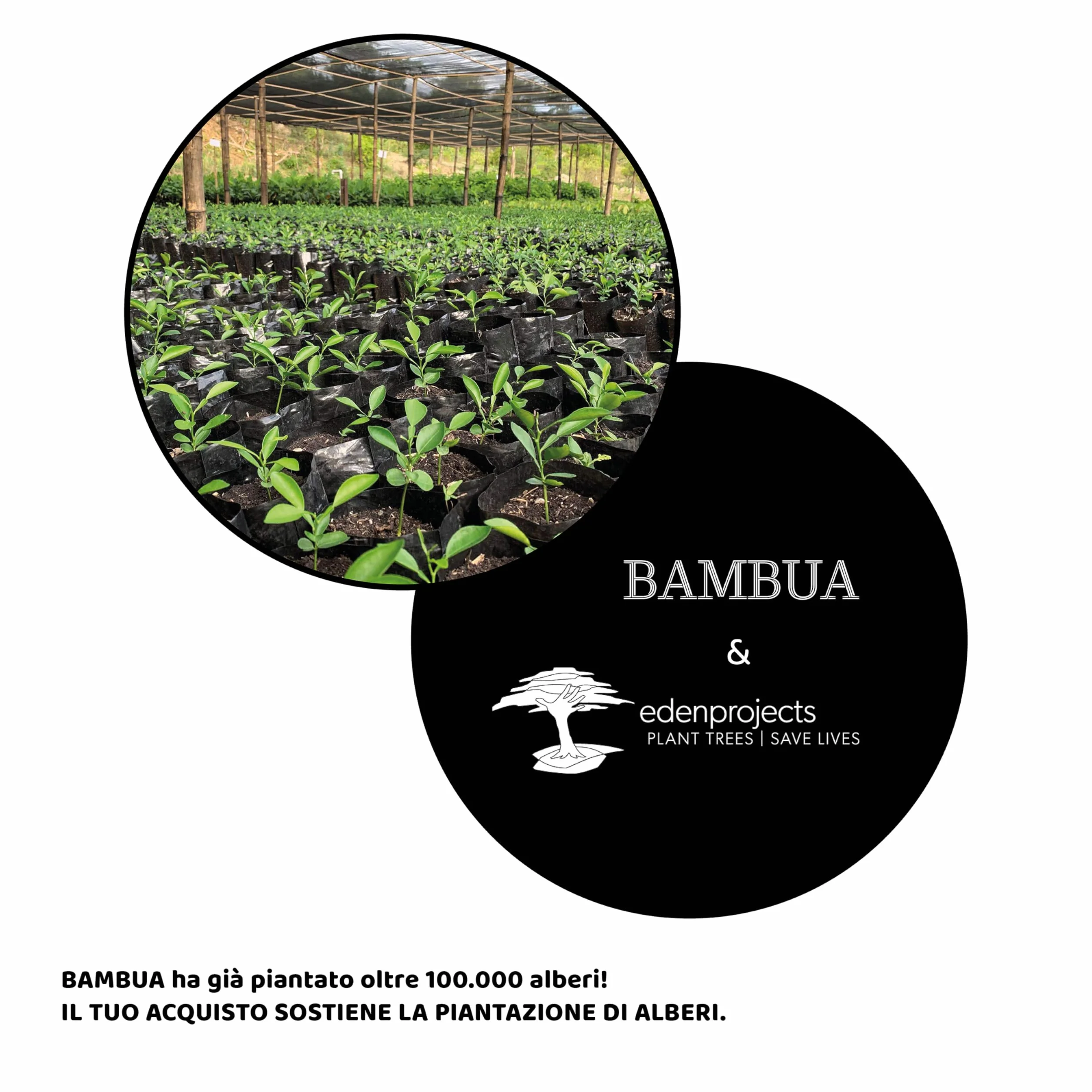 BAMBUA - Massaggiatore Testa Capelli (Manico in bambù) con 24 Dita - Massaggio testa di Alta Qualità per una Sensazione di Relax Sostenibile - Massaggiatore Cuoio Capelluto