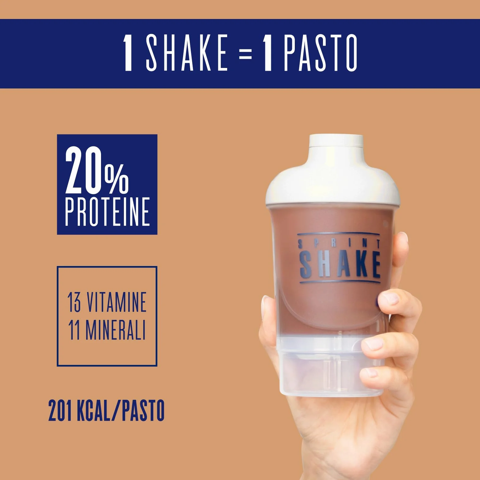 Enervit, Meal Shake Cacao Protein, Sostituto del Pasto, 1pasto=207 kcal, Bevanda Proteica, Gusto Cacao Intenso, 20% di Proteine, Per il Controllo del Peso, 1 Barattolo=12 Pasti