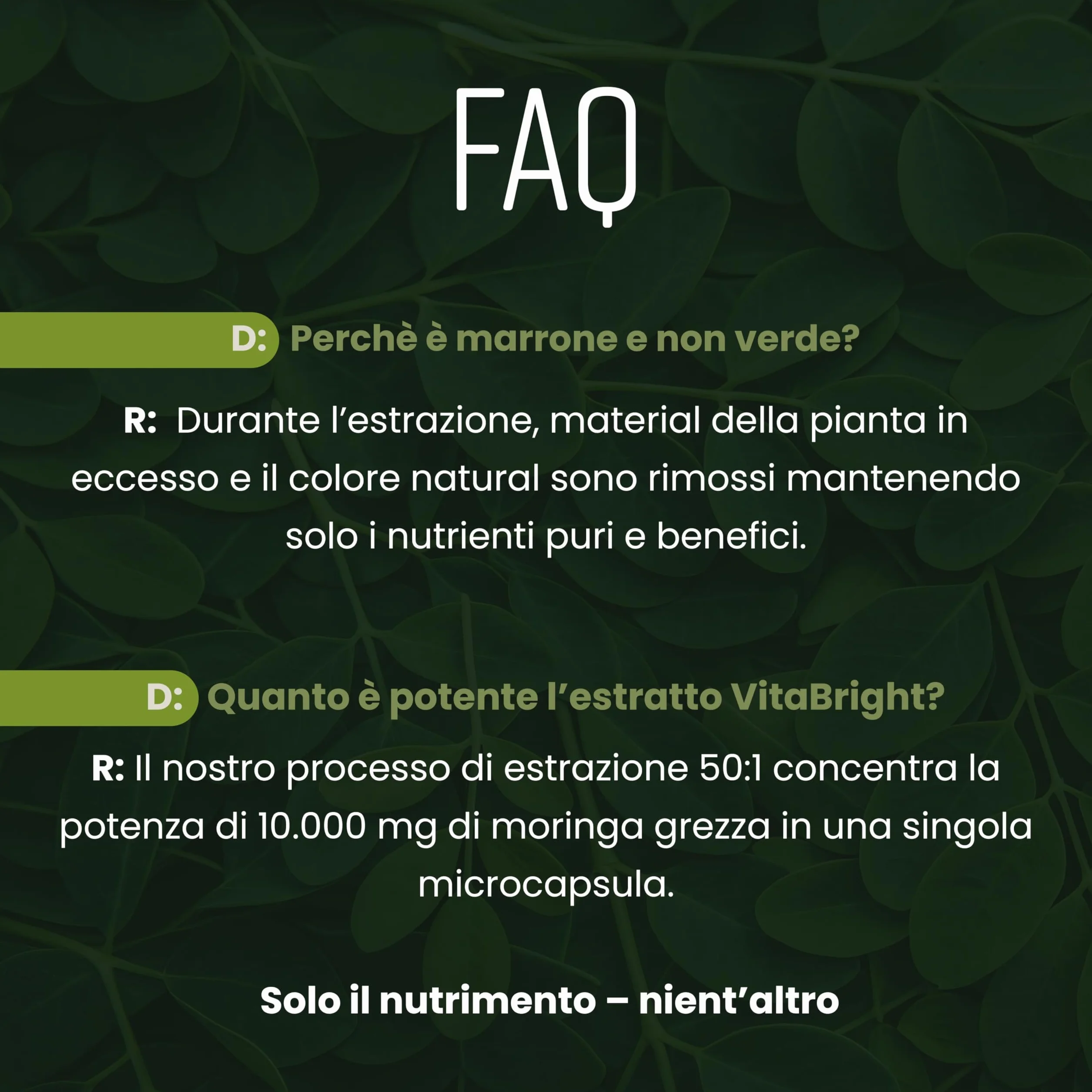 Capsule di Moringa Pura 10.000 mg Alto Dosaggio 4 Mesi Senza Additivi Superalimento Vegano in Polvere Estratto Puro di Foglia di Moringa VitaBright