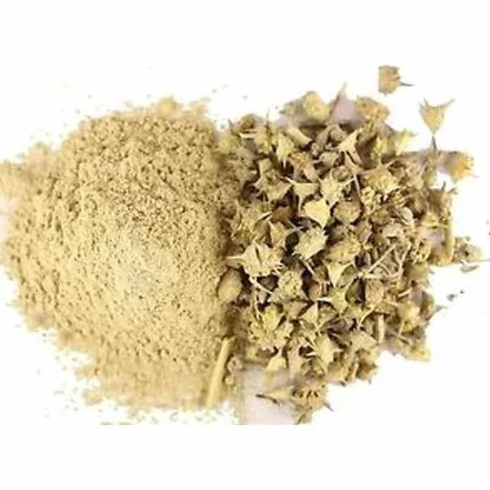 Gokhru Small 250 g - Gokshuradi Gokhru Chota Piccole Caltrops