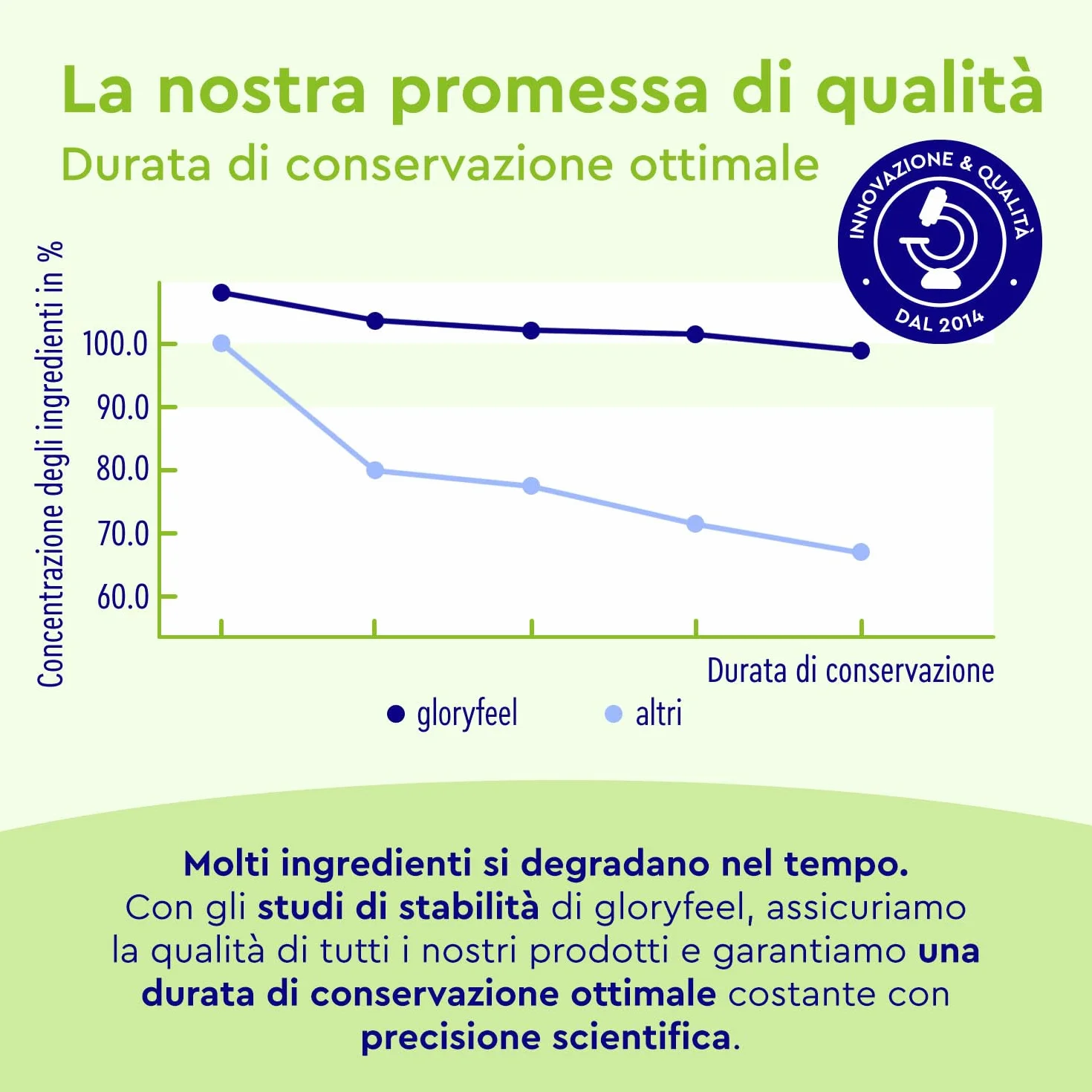 Ginkgo + Ginseng 365 Compresse - 24% Glicosidi Flavonici - Estratto di Panax Ginseng e Ginkgo Biloba (50:1) ad Alto Dosaggio - Scorta di 1 Anno - Testato in Laboratorio, Vegan e Senza Additivi
