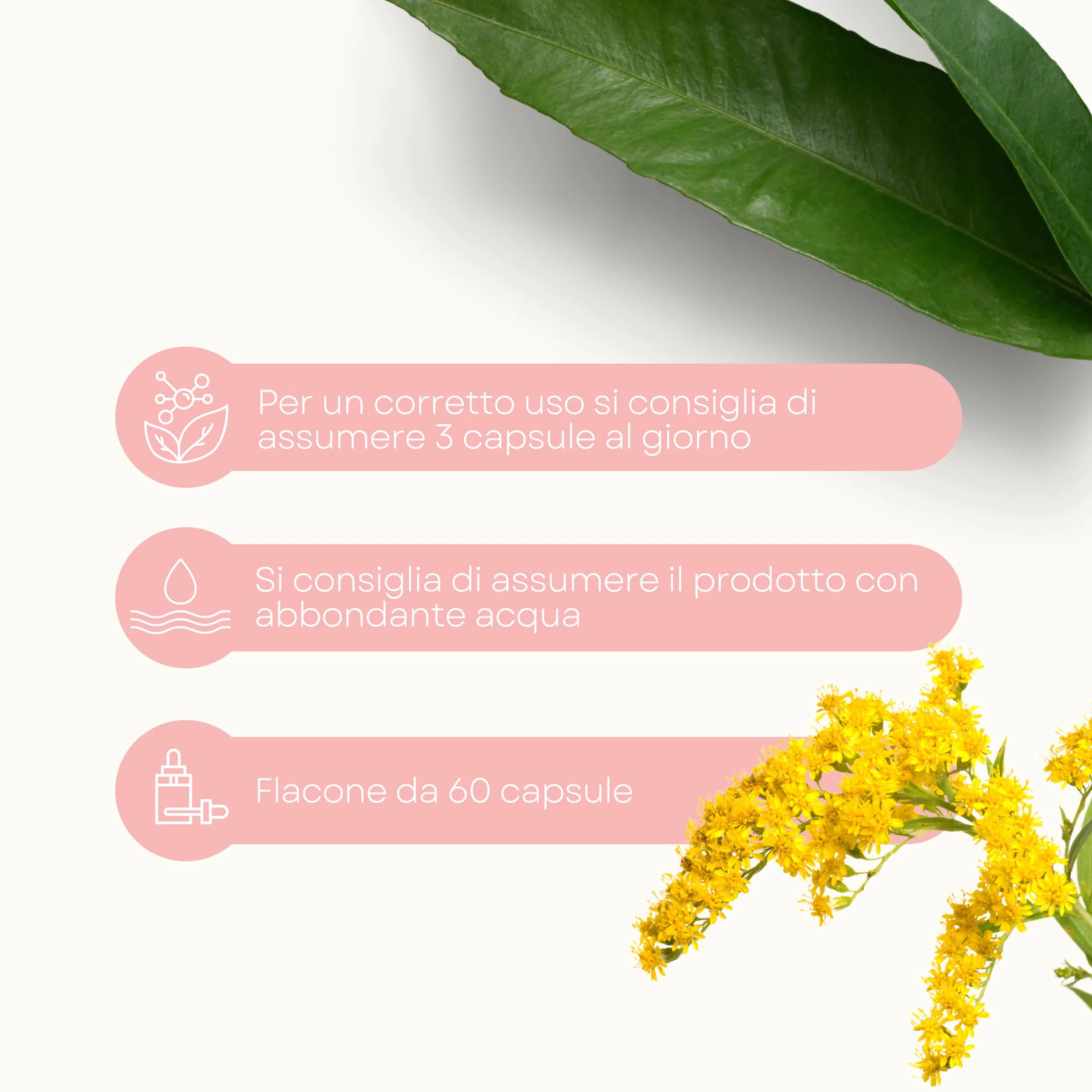 Cystilem Integratore Alimentare 60 Capsule Funzionalità Vie Urinarie Drenaggio Liquidi Made in Italy