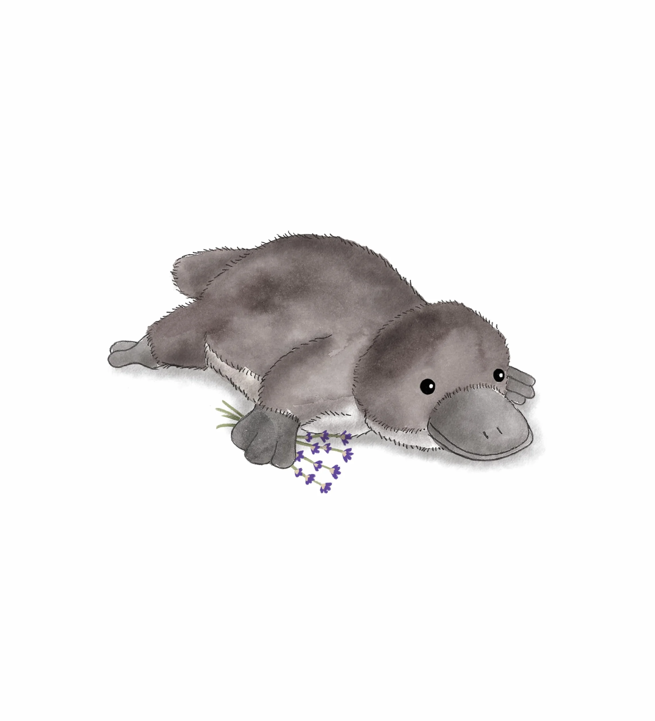 Warmies Peluche Ornitorinco Borsa di Grano Riscaldabile al Microonde con Profumo di Lavanda Francese, Orsetto Ponderato Caldo o Freddo per Relax e Sollievo Caldo, Adatto per Adulti e Bambini