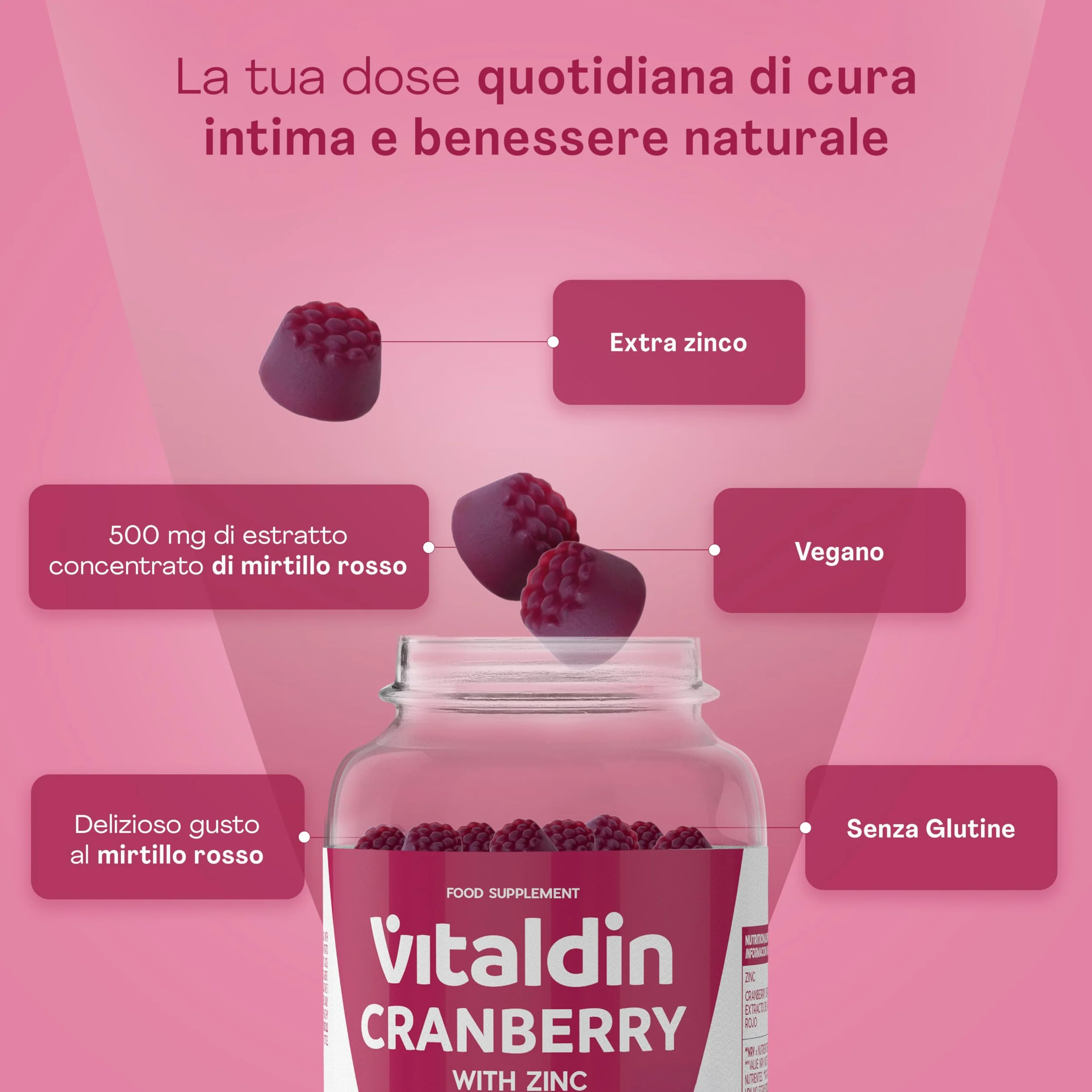 VITALDIN Cranberry Gummies – Integratore di 500 mg di estratto di Mirtillo Rosso + Zinco – 70 Caramelle Gommose, Gusto Mirtilli Rossi – Aiuto delle Vie Urinarie – Vegano