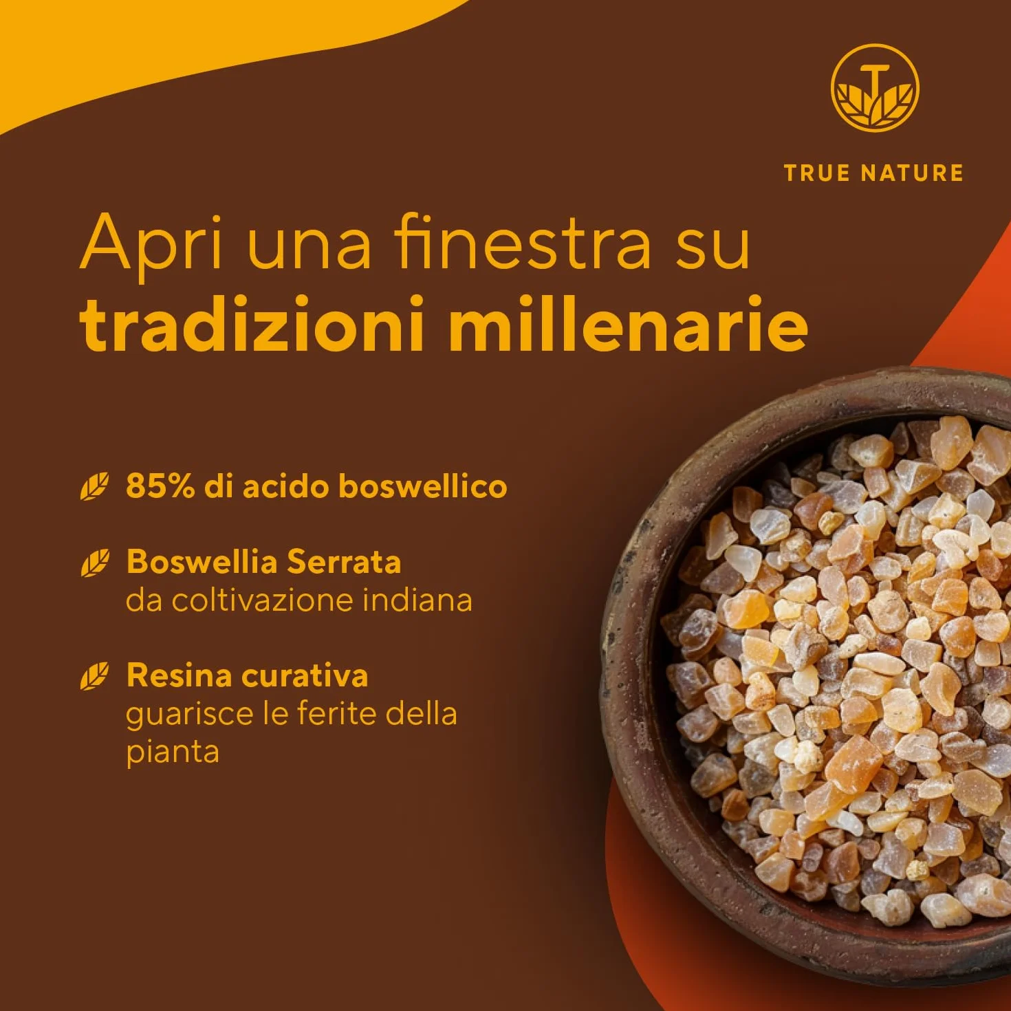 Boswellia Serrata - 240 Capsule - 20.000 mg - Alto dosaggio (10:1) - incenso integratore - Vegan, Testato in Laboratorio, Produzione Tedesca - TRUE NATURE®