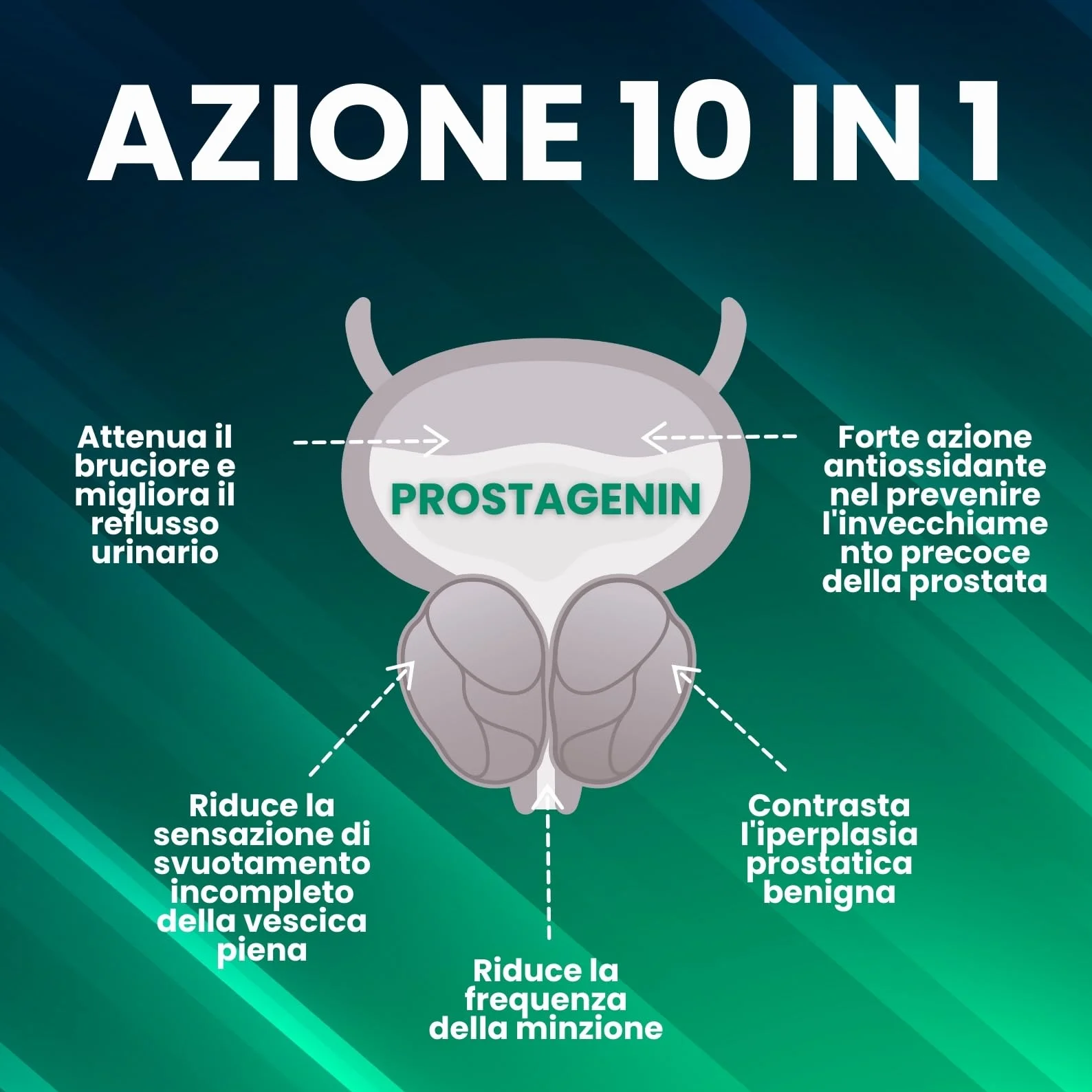 Serenoa Repens 640mg 120 Capsule Formula 4 in 1 con Apigenina, Zinco e Licopene Supporto Prostata
