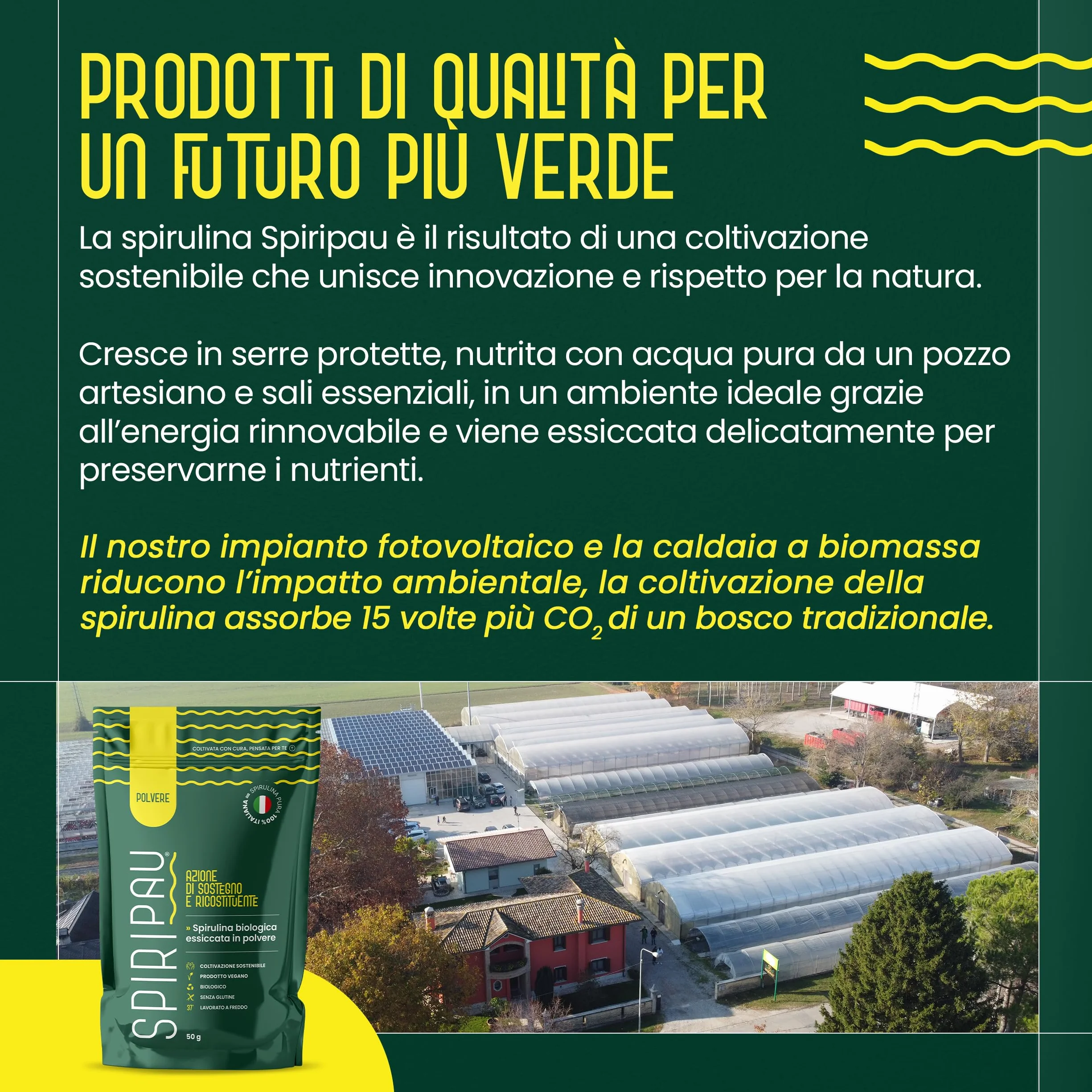 Spiripau Spirulina Bio Italiana in Polvere 50g - Superfood Naturale 100% Made in Italy Vegano