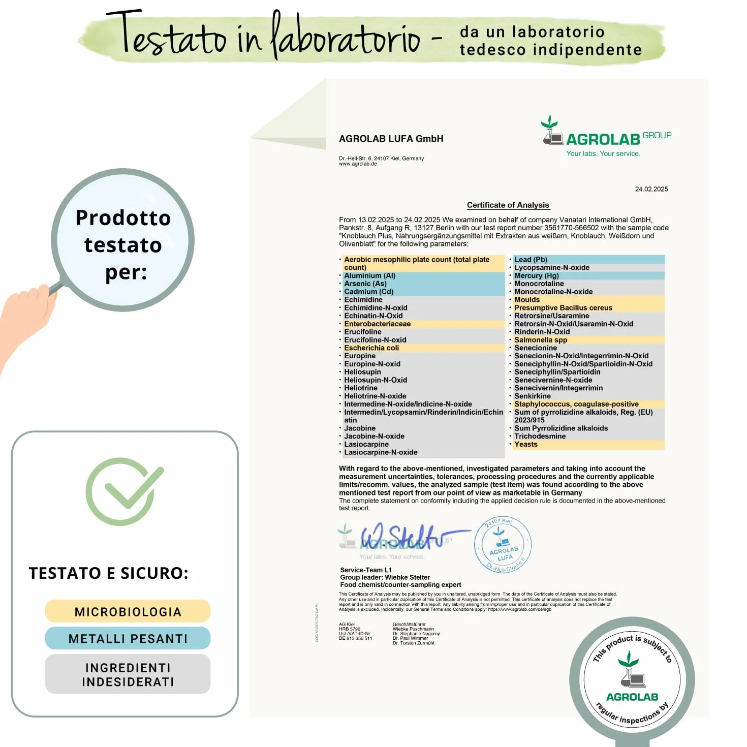 Aglio + Biancospino + Ulivo Vegavero® | Estratti titolati: 1% di Allicina, 3% di Flavoni e 40% Oleuropeina | Integratore in Capsule per la Pressione Sanguigna* | Vegan