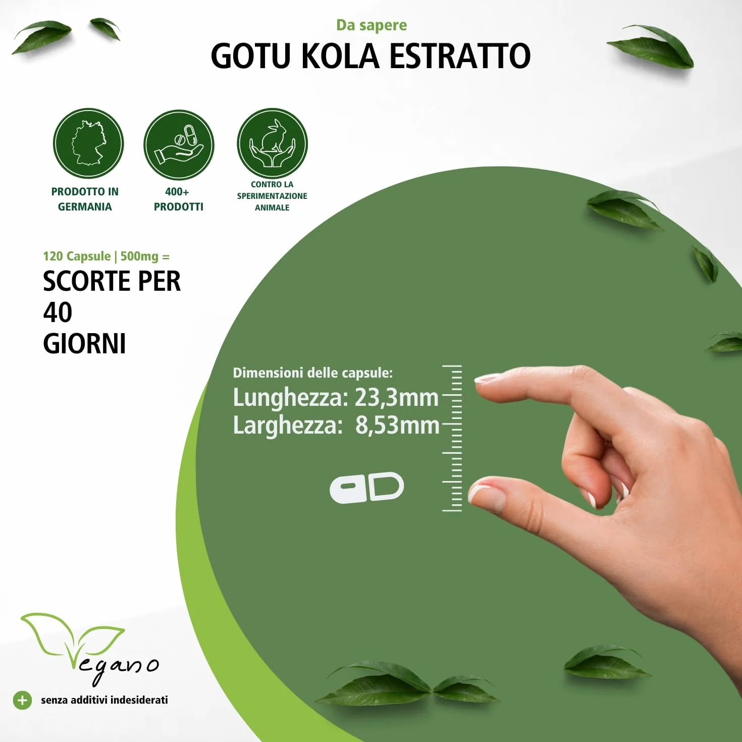 Fairvital Centella Asiatica 120 capsule 500 mg Alto Dosaggio Vegano