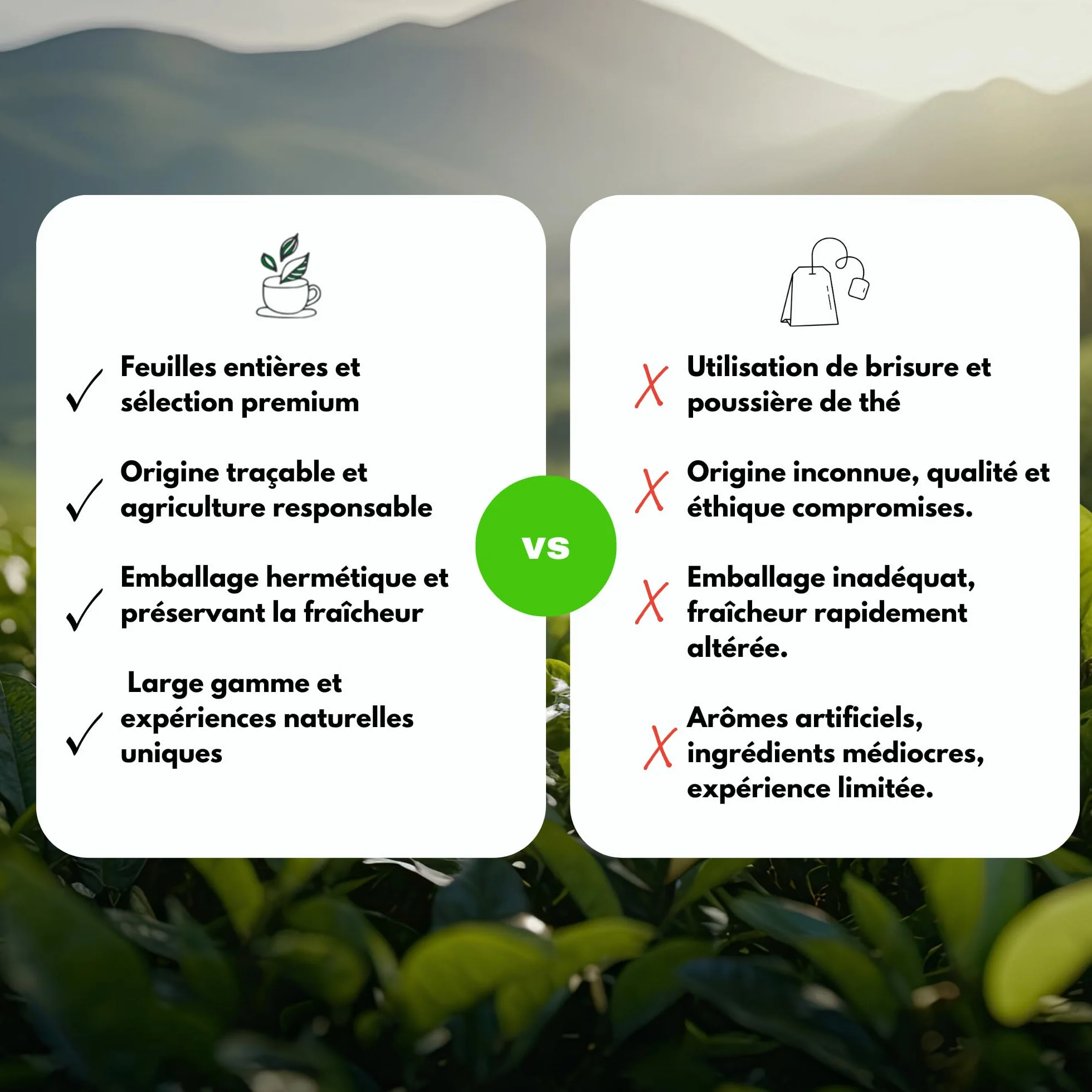 Tè Verde biologico aromatizzato Menta Marrakesch - 100g (40 tazze) - Tè sfuso 100% agricoltura biologica - Mes-Tè