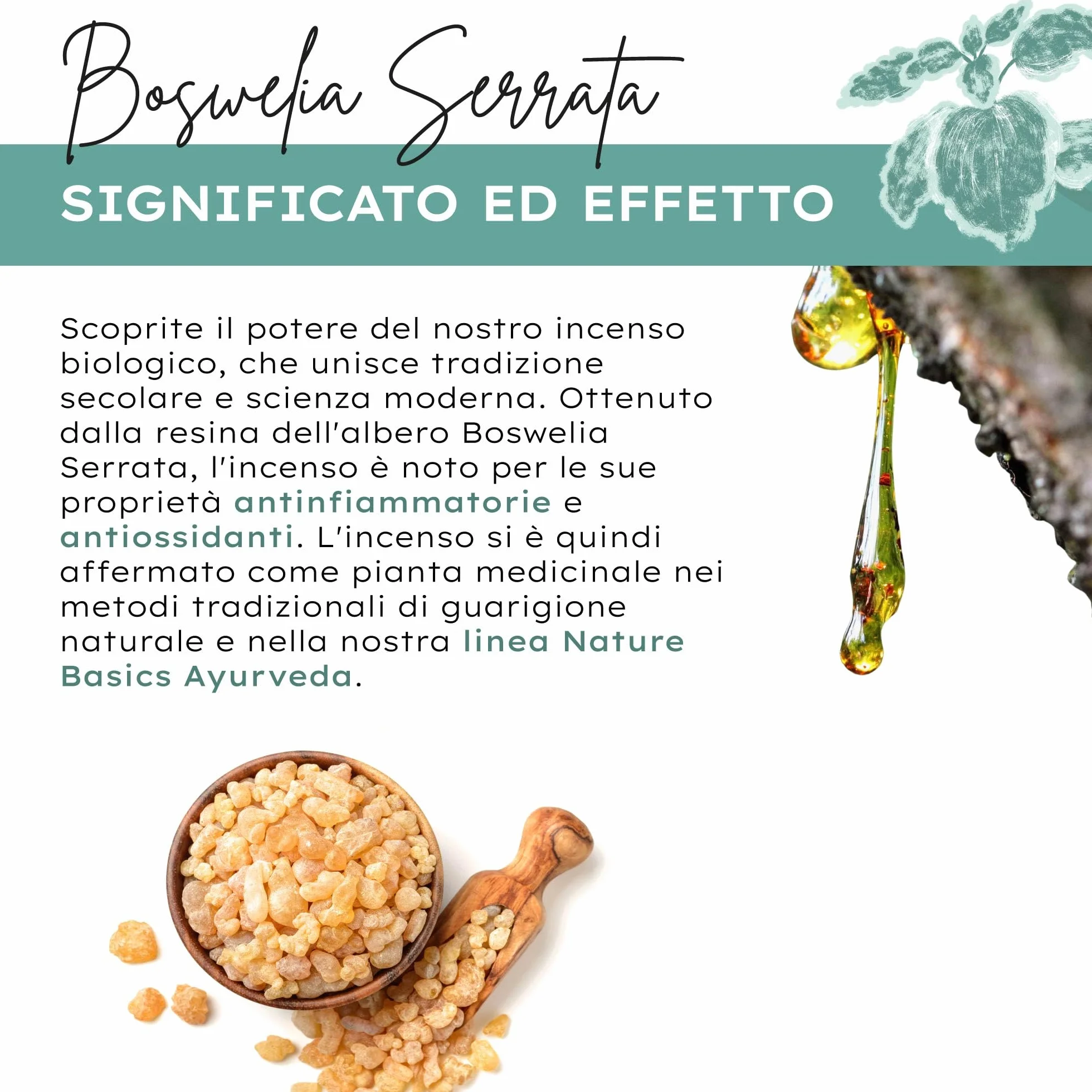 Capsule di incenso biologico - 180 capsule ad alto dosaggio / 500 mg di estratto di incenso biologico per dose giornaliera/Integratore alimentare ayurvedico di alta qualità/Vegano e sostenibile