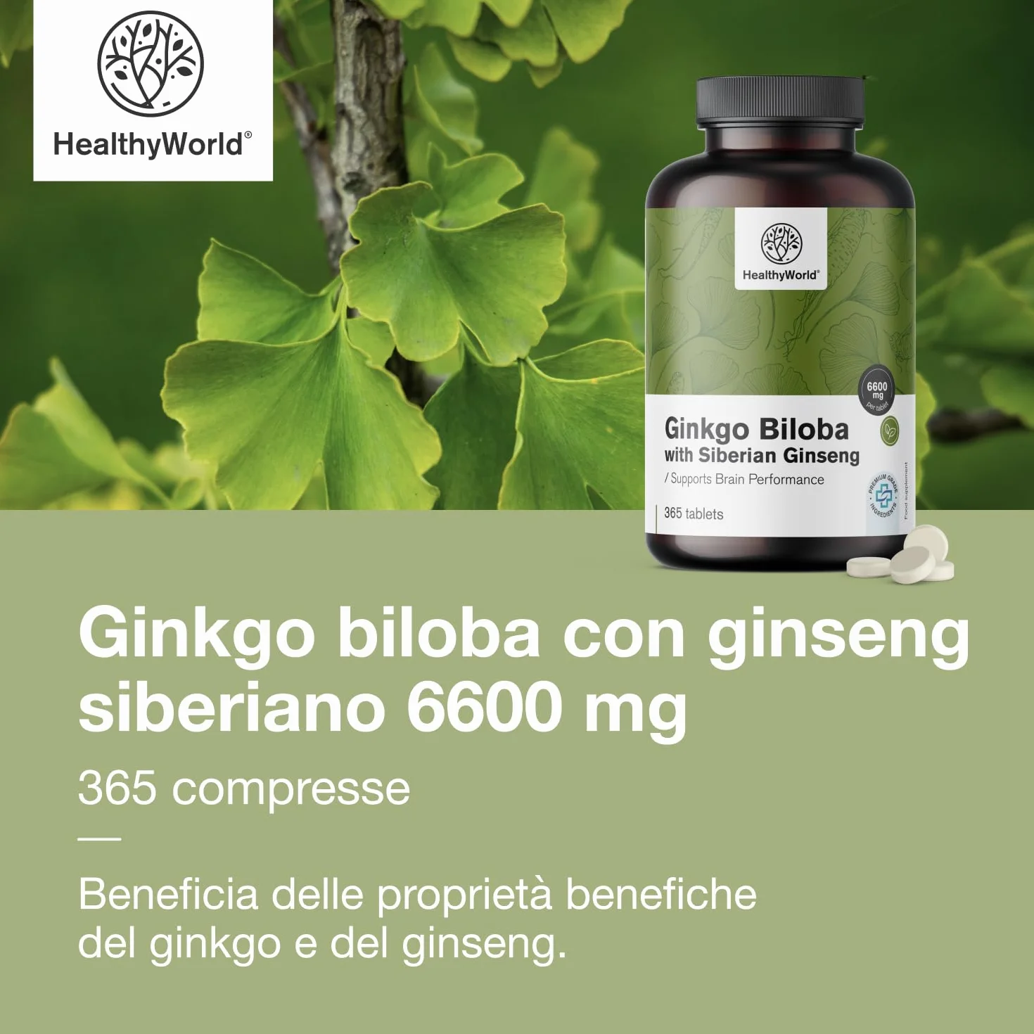 HealthyWorld Ginkgo Biloba con Ginseng siberiano 6600 mg 365 compresse Estratto 50:1 120mg 10:1 60mg