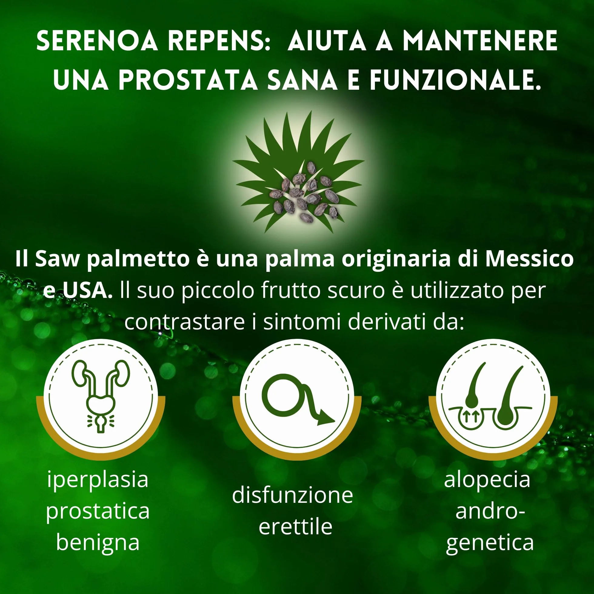 Serenoa Repens 660mg Saw Palmetto 180cps Integratore Prostata Uomo con Epilobio, Ortica e Pygeum Supporto Vie Urinarie