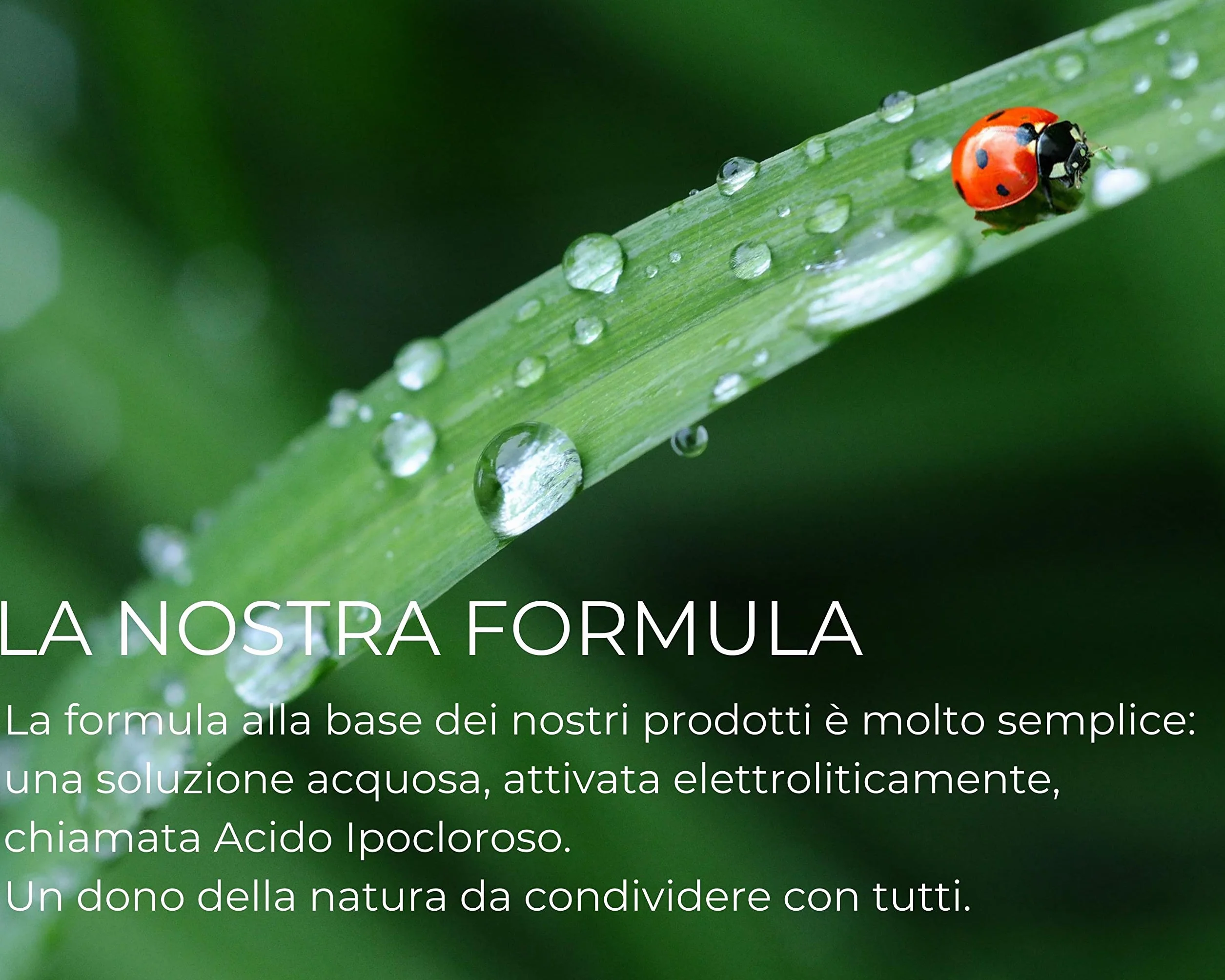 ECASAN Igienizzante Spray Mani Viso e Corpo 100% Naturale Acido Ipocloroso 150 ml