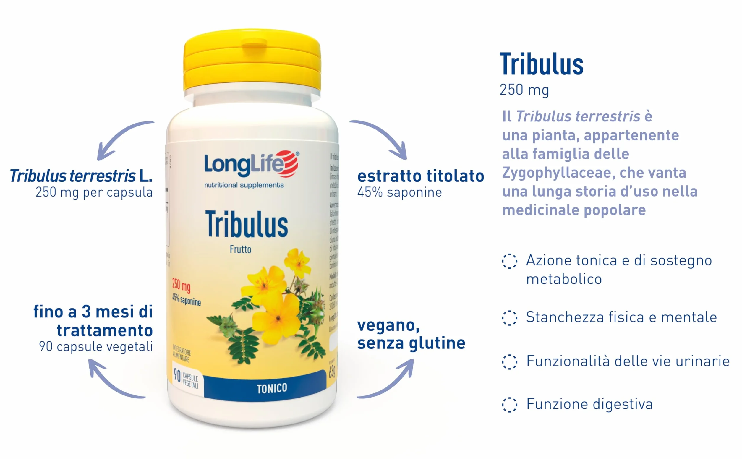 LongLife Tribulus Estratto titolato 45% saponine Azione tonica sostegno metabolico Vie urinarie funzione digestiva Vegano senza glutine