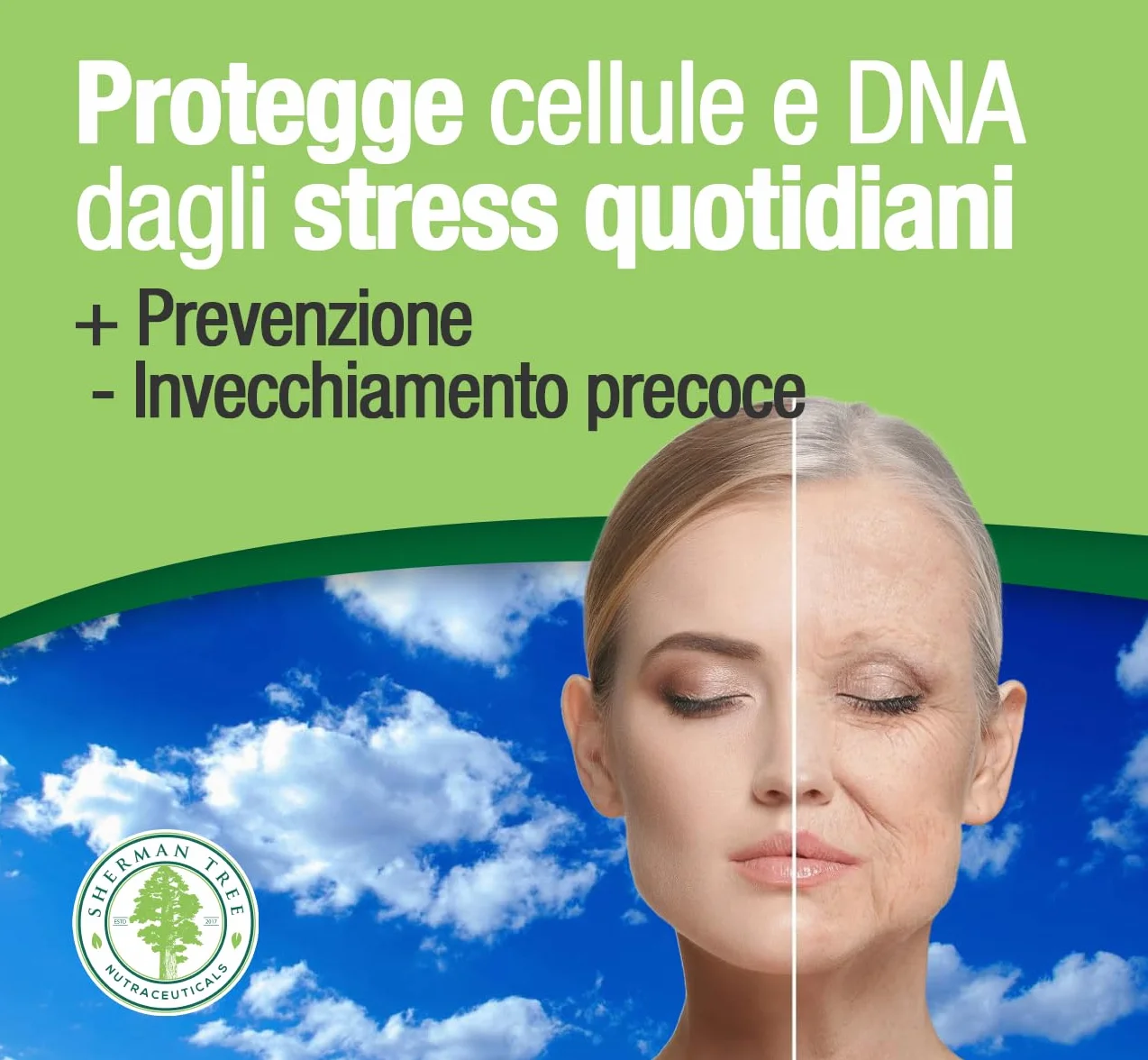EGCG da tè verde ≥95% - Stimolante metabolico, blocca-fame, energizzante