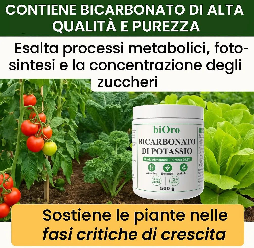 BICARBONATO DI POTASSIO Alimentare biOro 99,8% – 500g – Regolatore Acidità, Antifungino Naturale, Uso Enologico e Agricolo – Grado Alimentare Qualità Premium – Senza Glutine