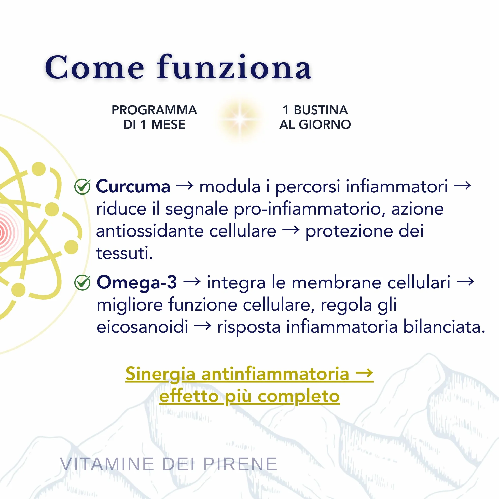 Omega 3 e Curcuma Alta Potenza Integratore 56 Dosi Salute Articolare e Cerebrale