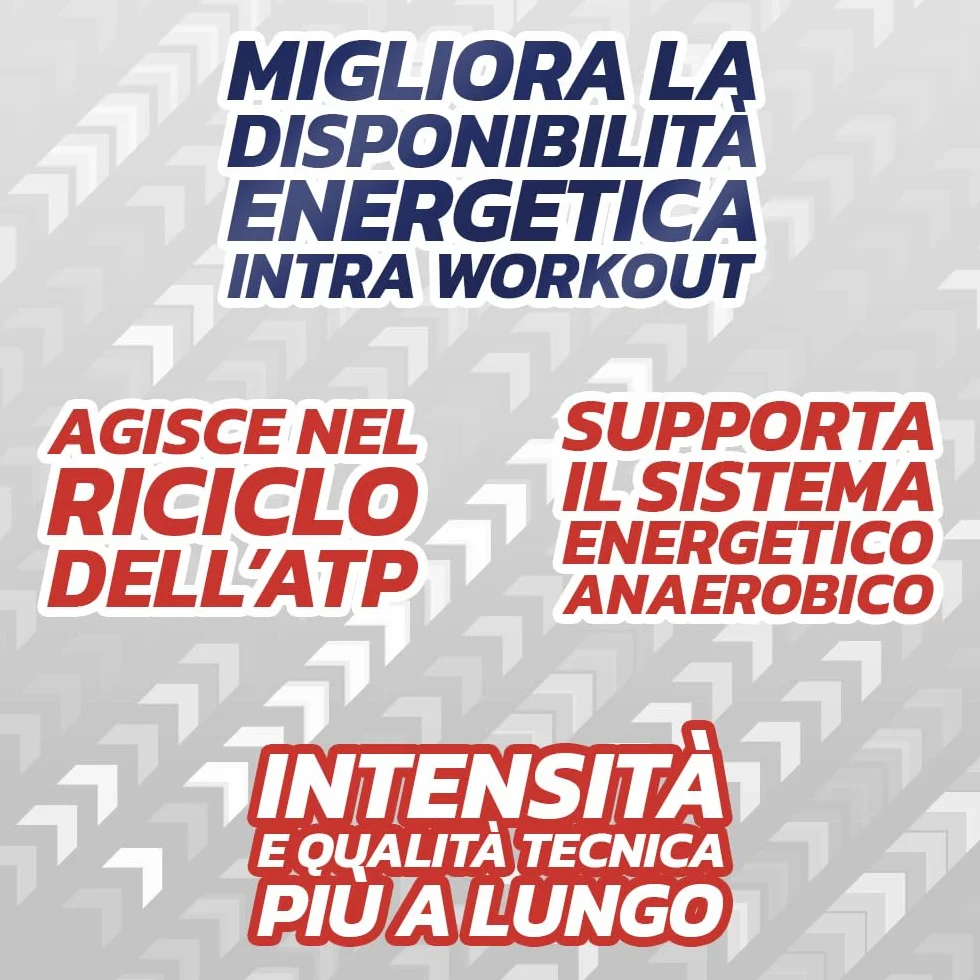 PROLABS– Creatina Monoidrata Creatine PURE, 210 Compresse x 1000mg 100% Purissima, Creatina Monoidrato Supporta Forza e Performance Sport Alta Intensità, Integratore Alimentare Vegan anche Pre Workout