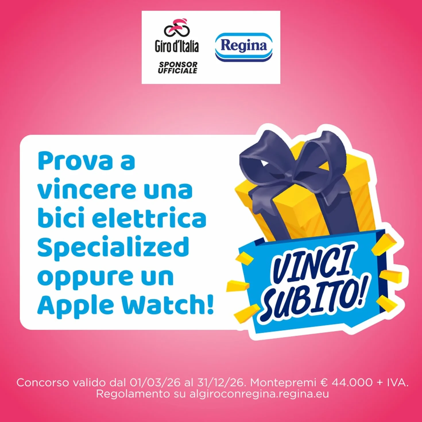 Regina Asciugoni Carta Cucina, 12 Rotoli 2 Veli, Maxi Fogli Assorbenti, FSC