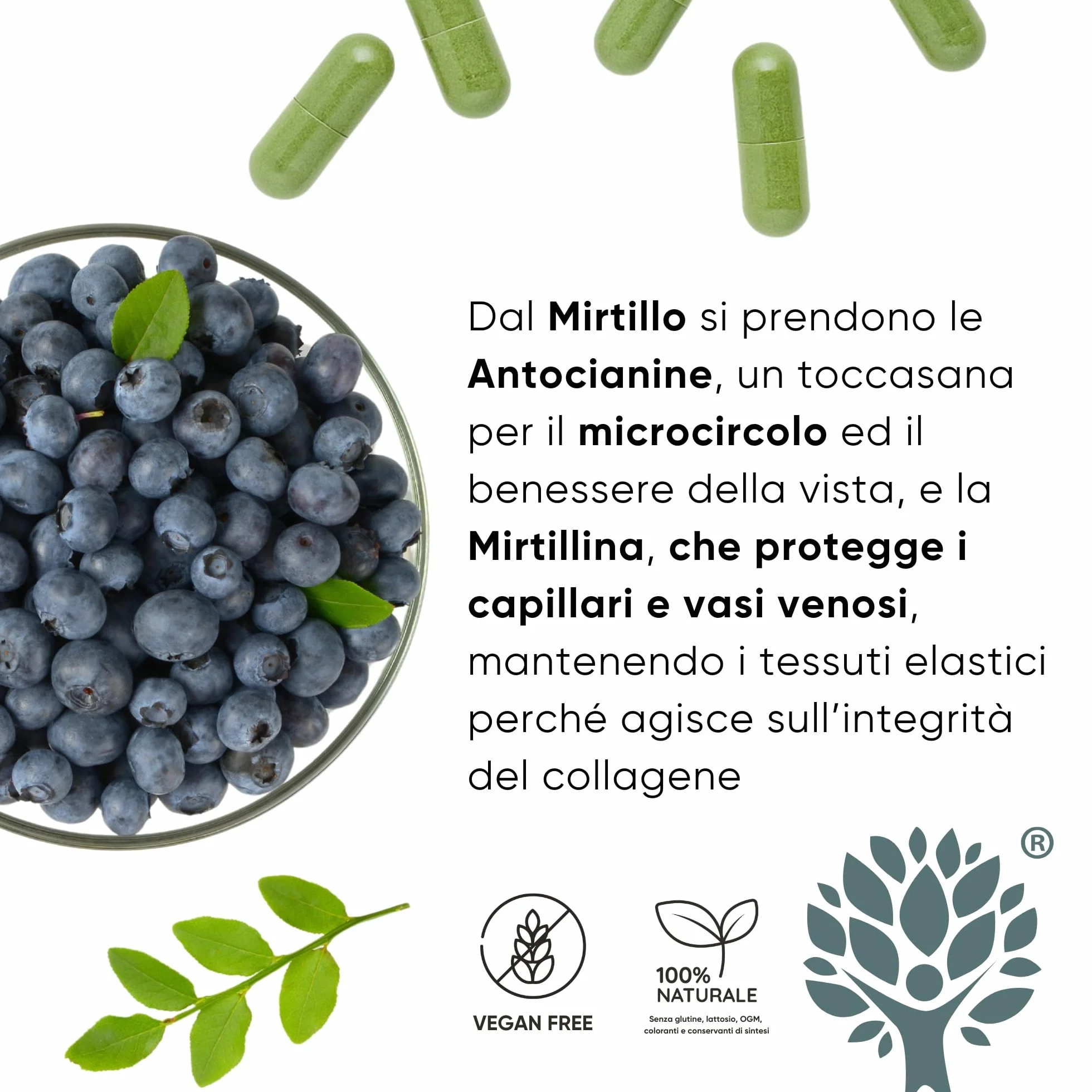 RedMoringa Integratore Microcircolo Gambe Mirtillo Nero e Vite Rossa con Moringa BIO 60 Capsule